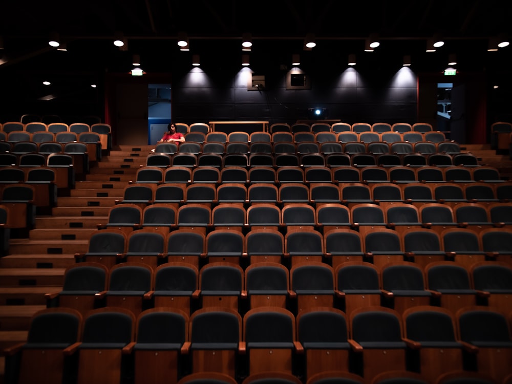 brown and black theater chair