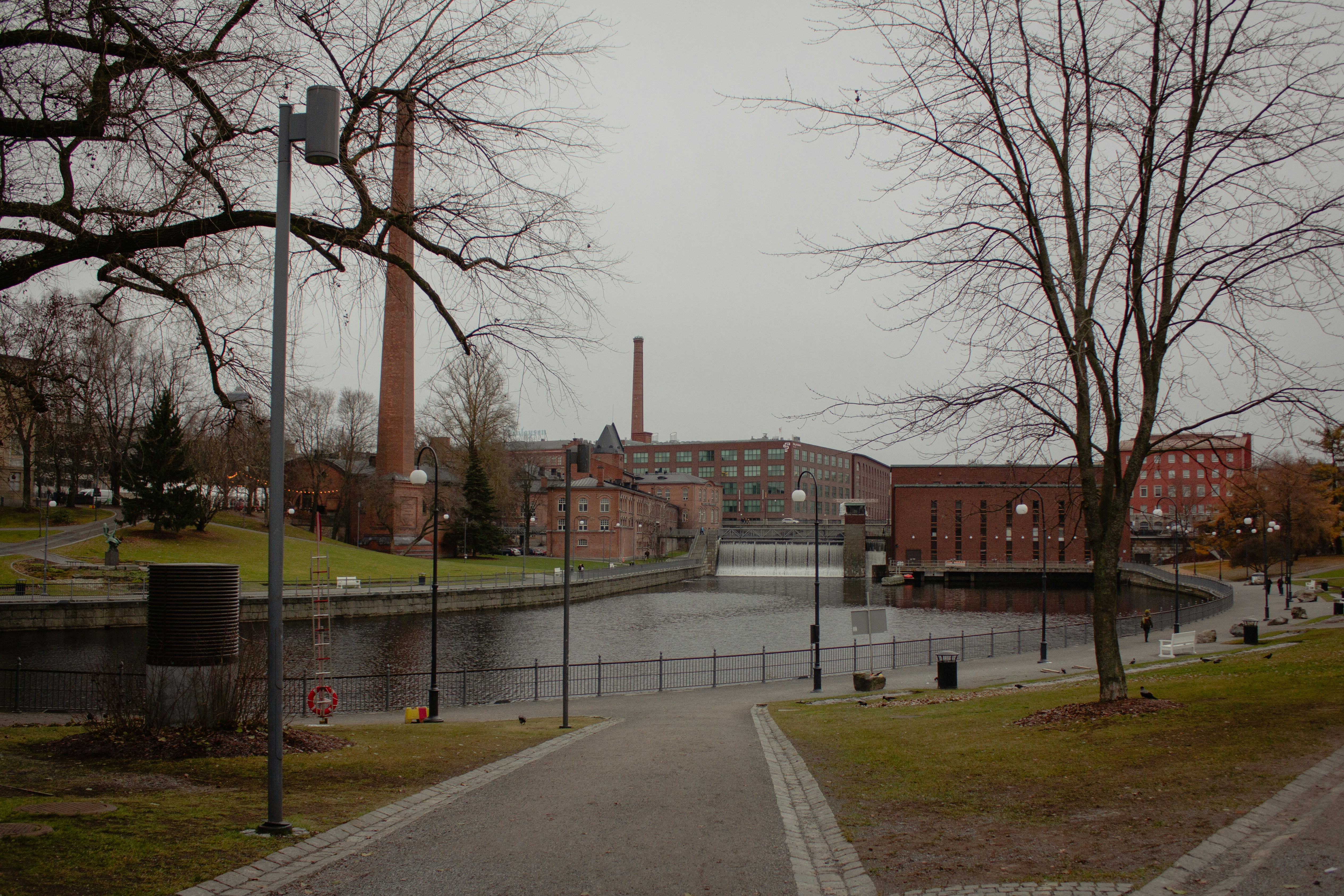 Ice Plant Park