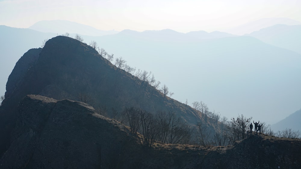 green trees on mountain during daytime