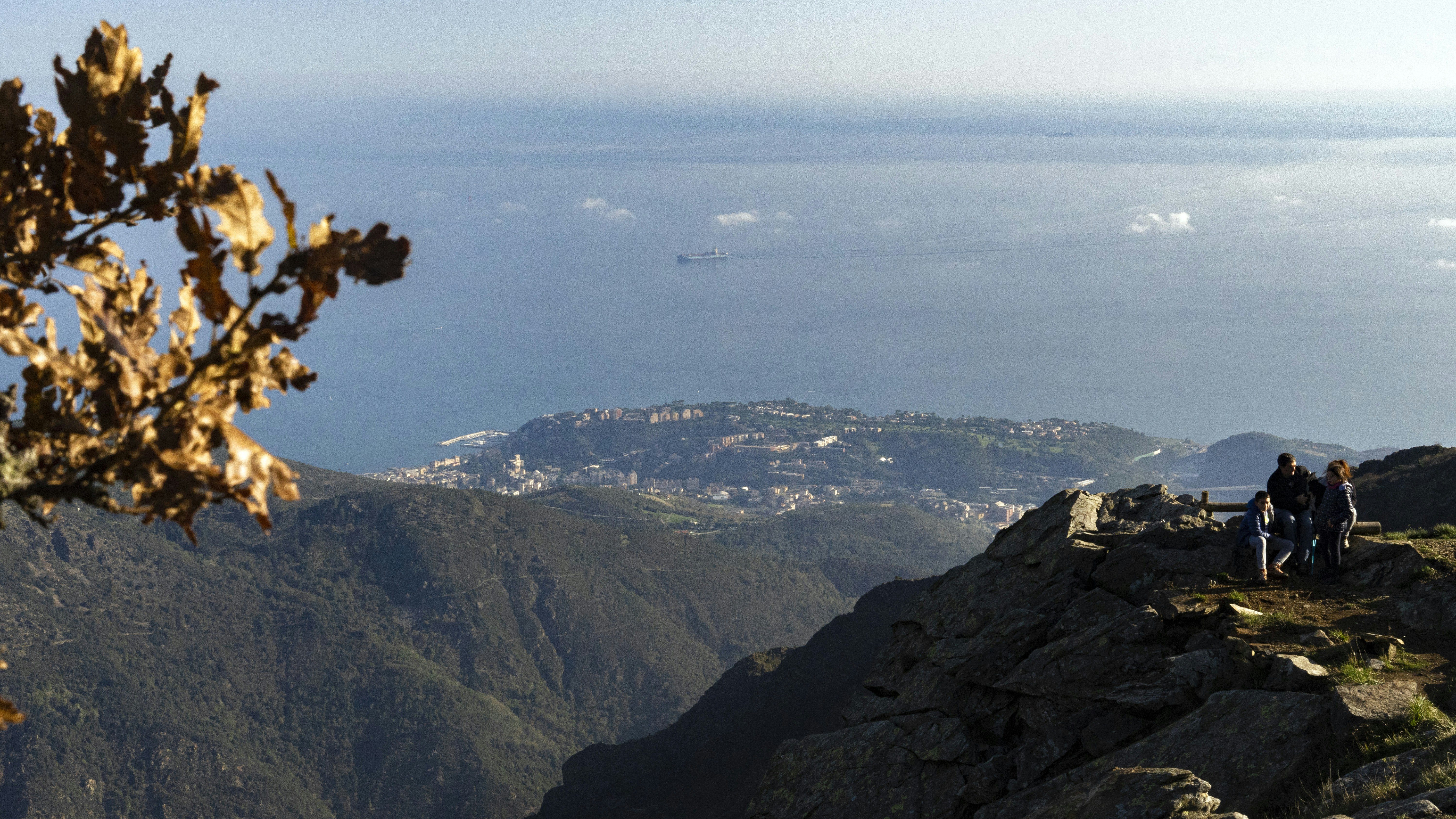 非常美式的哥斯拉，《哥斯拉大战金刚2:帝国崛起》 片尾没有彩蛋