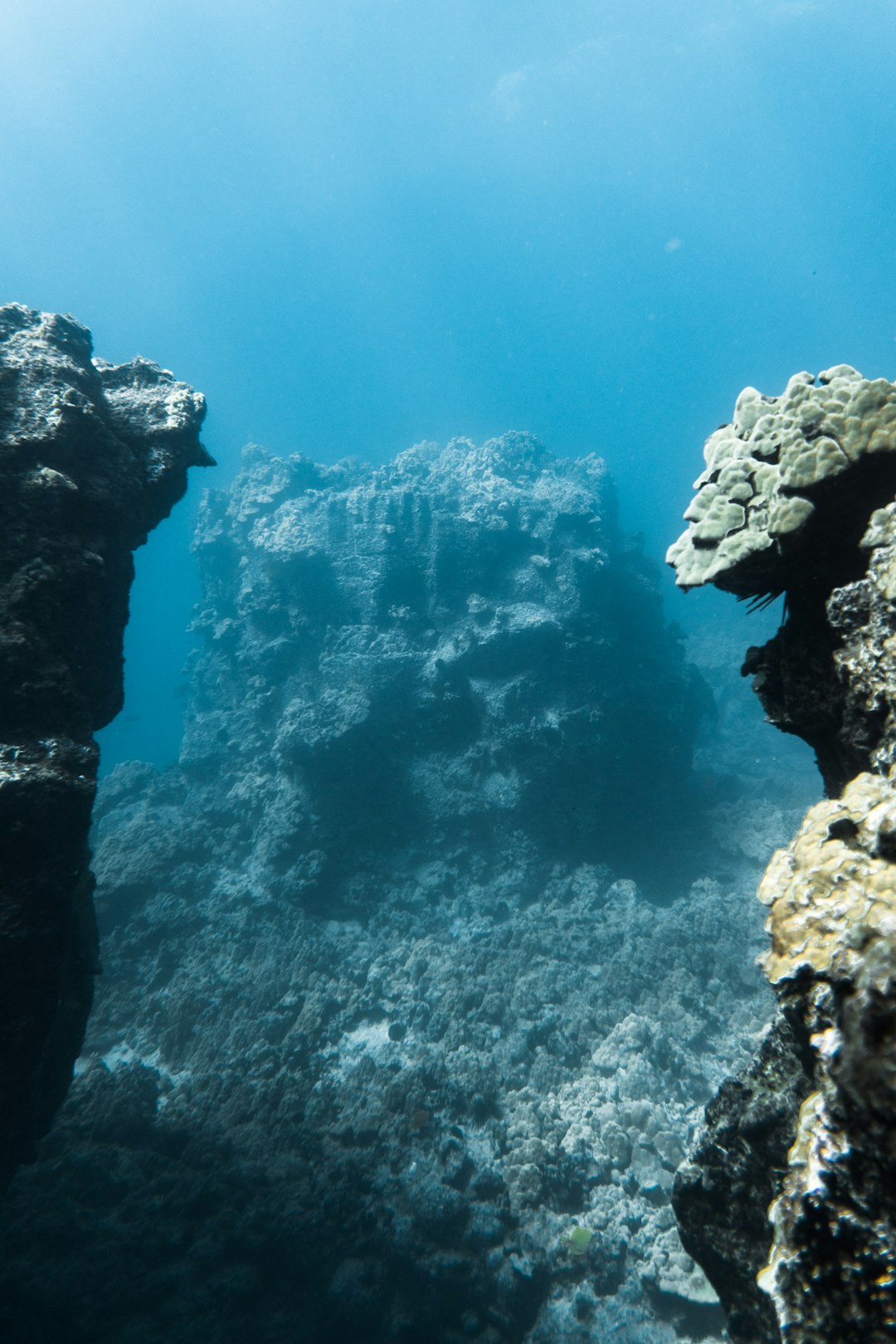 underwater photography of rocks