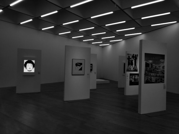 A gallery room with multiple vertical panels featuring black and white artwork. The ceiling has modern lighting, and the floor is wooden. The space appears minimalist and contemporary.