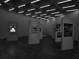 A gallery room with multiple vertical panels featuring black and white artwork. The ceiling has modern lighting, and the floor is wooden. The space appears minimalist and contemporary.