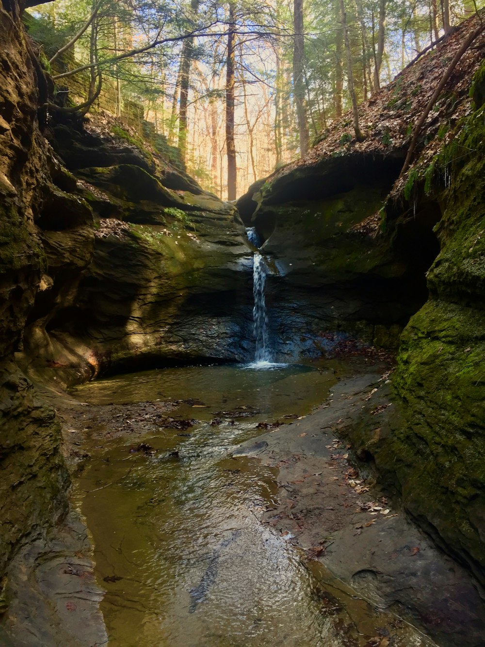 waterfalls surrounded by trees during daytime