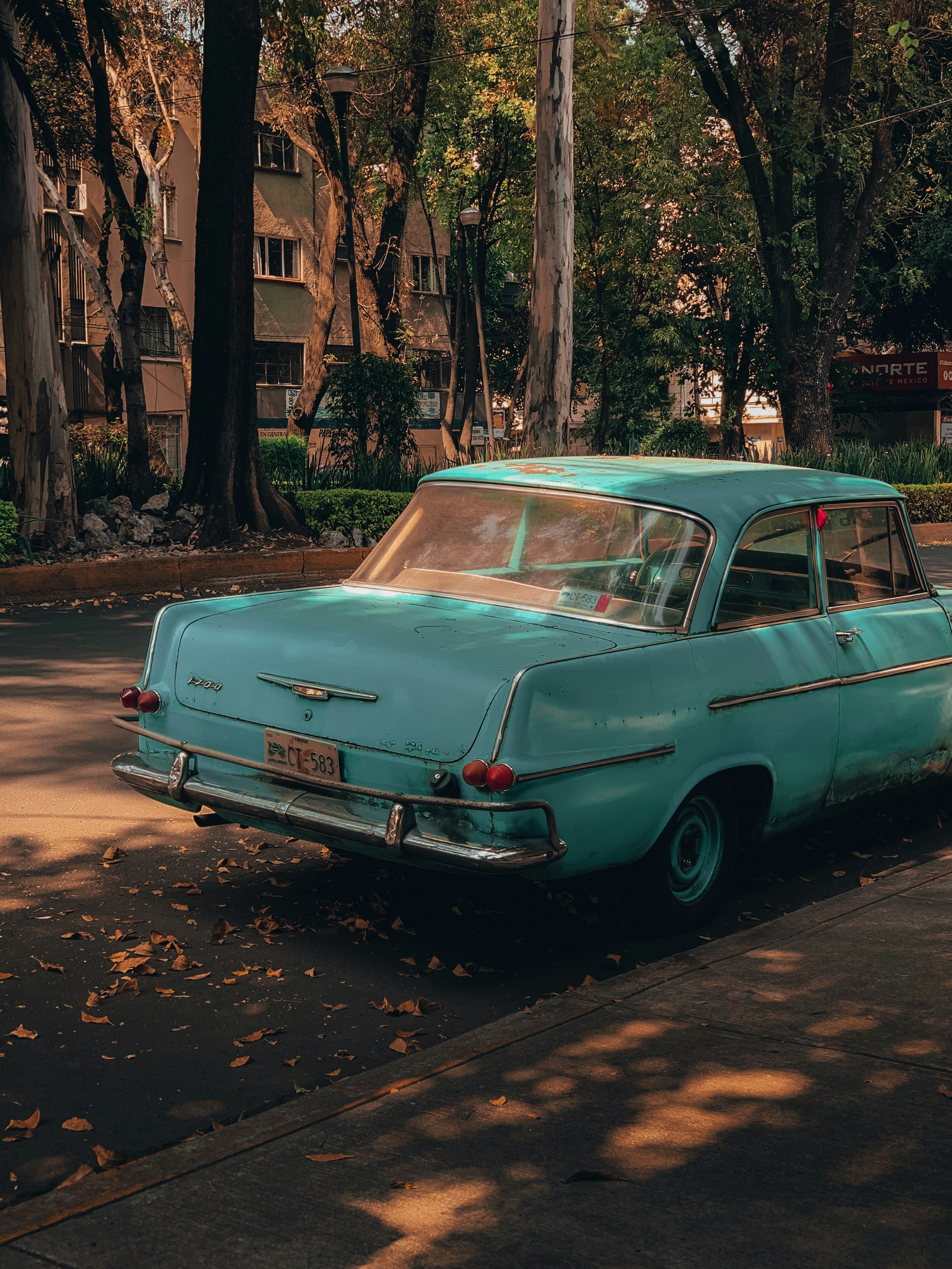 Photo by streetsbydex