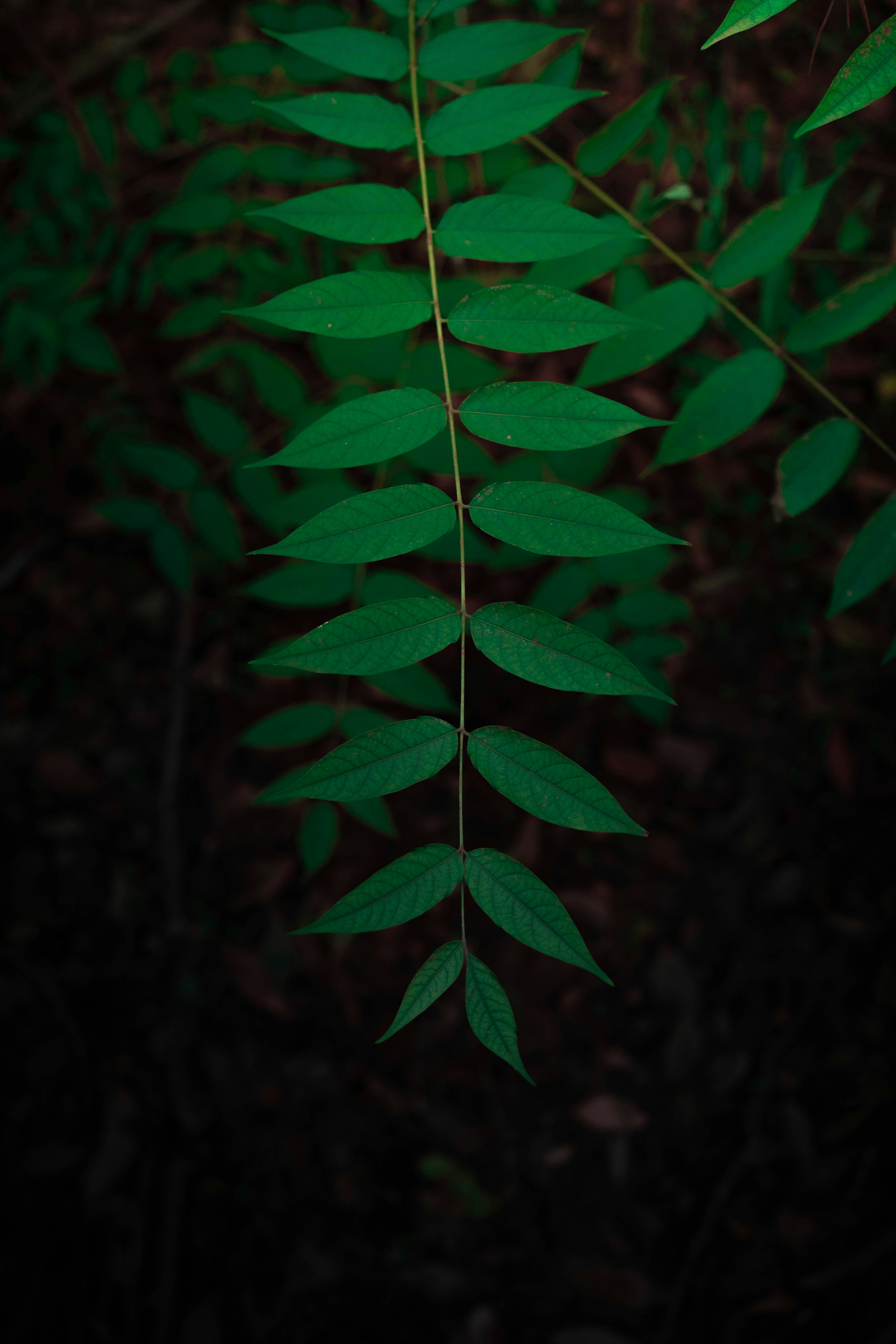 Photo by angyo8onshi