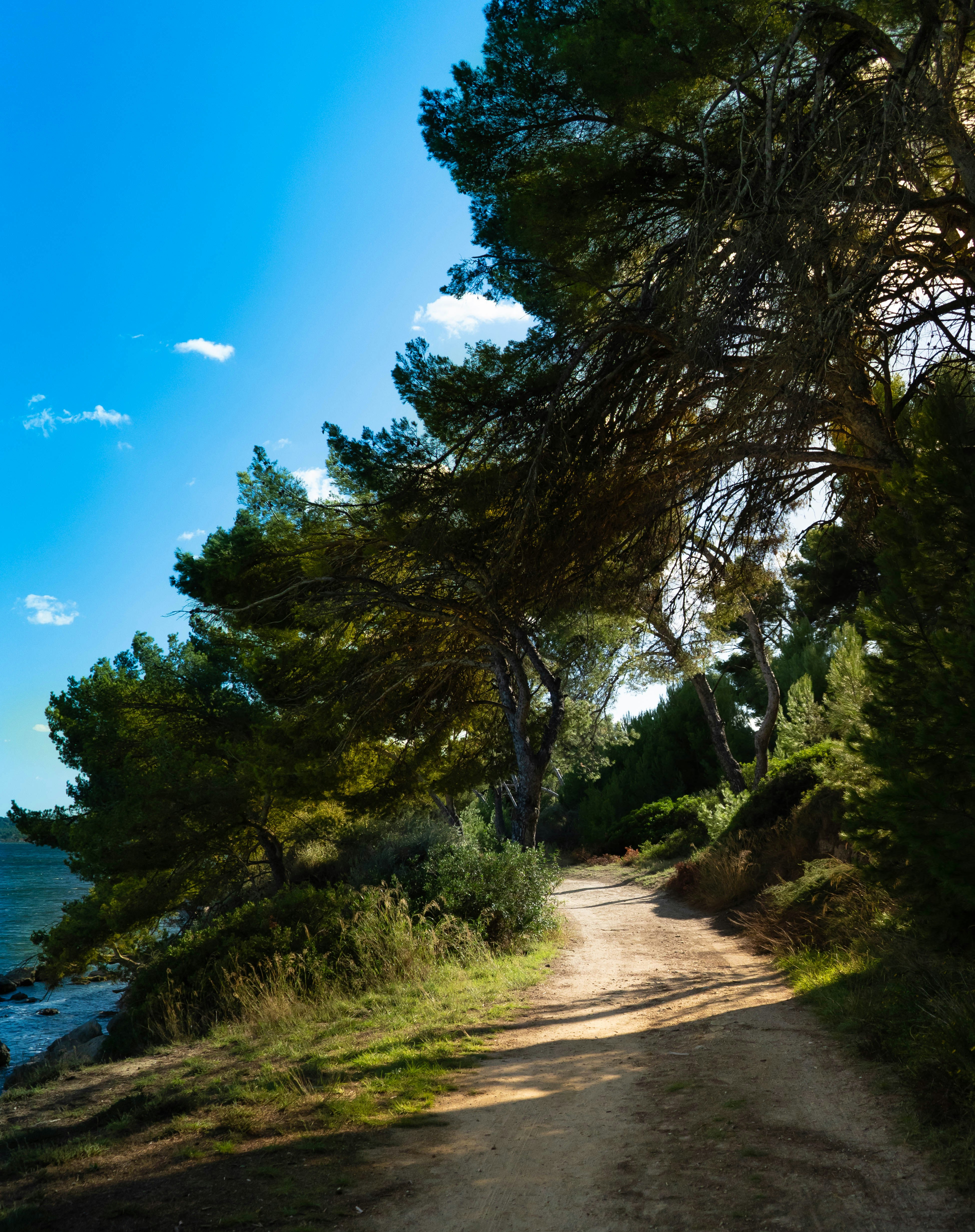 Photo by angyo8onshi