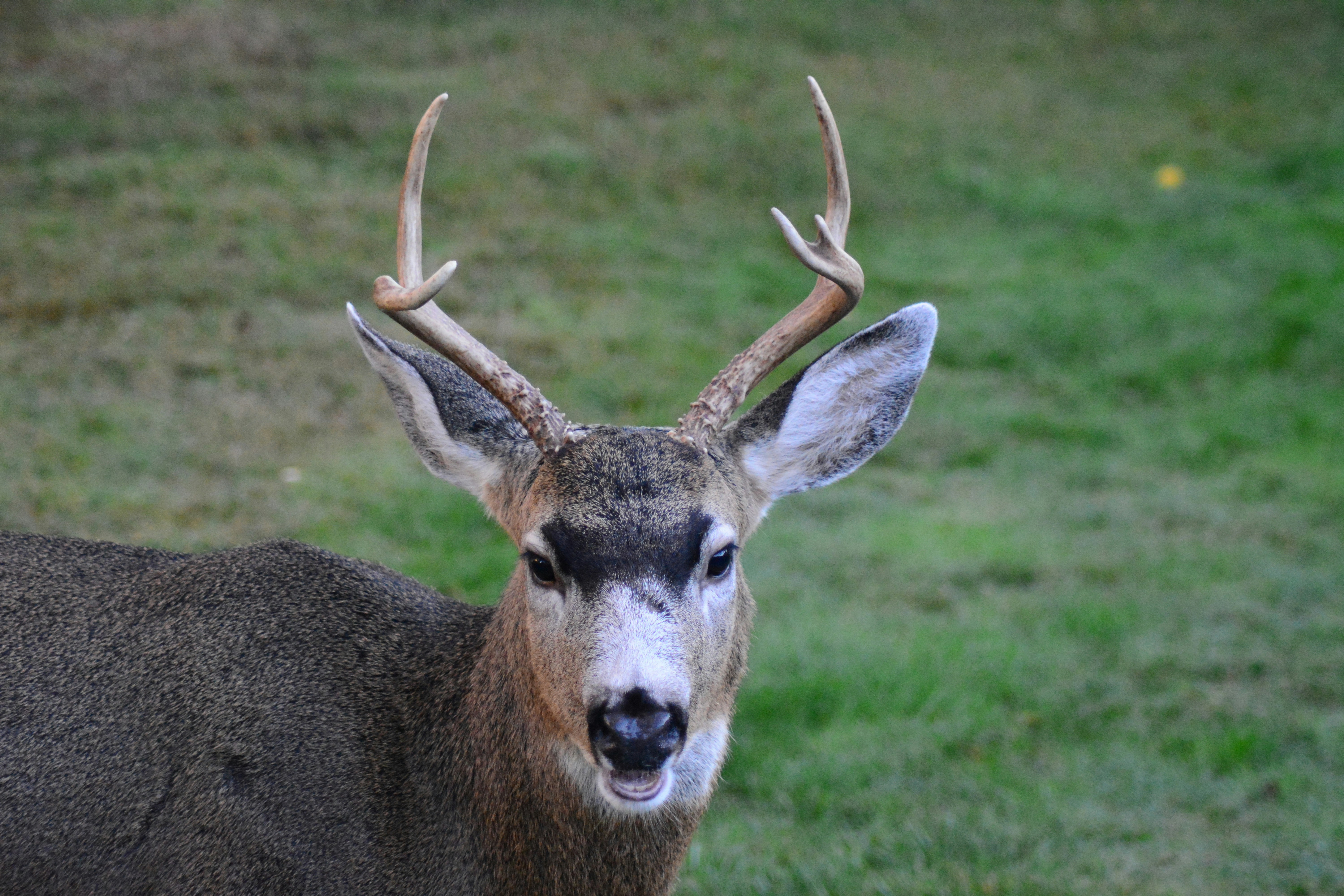 Photo by bryanhanson