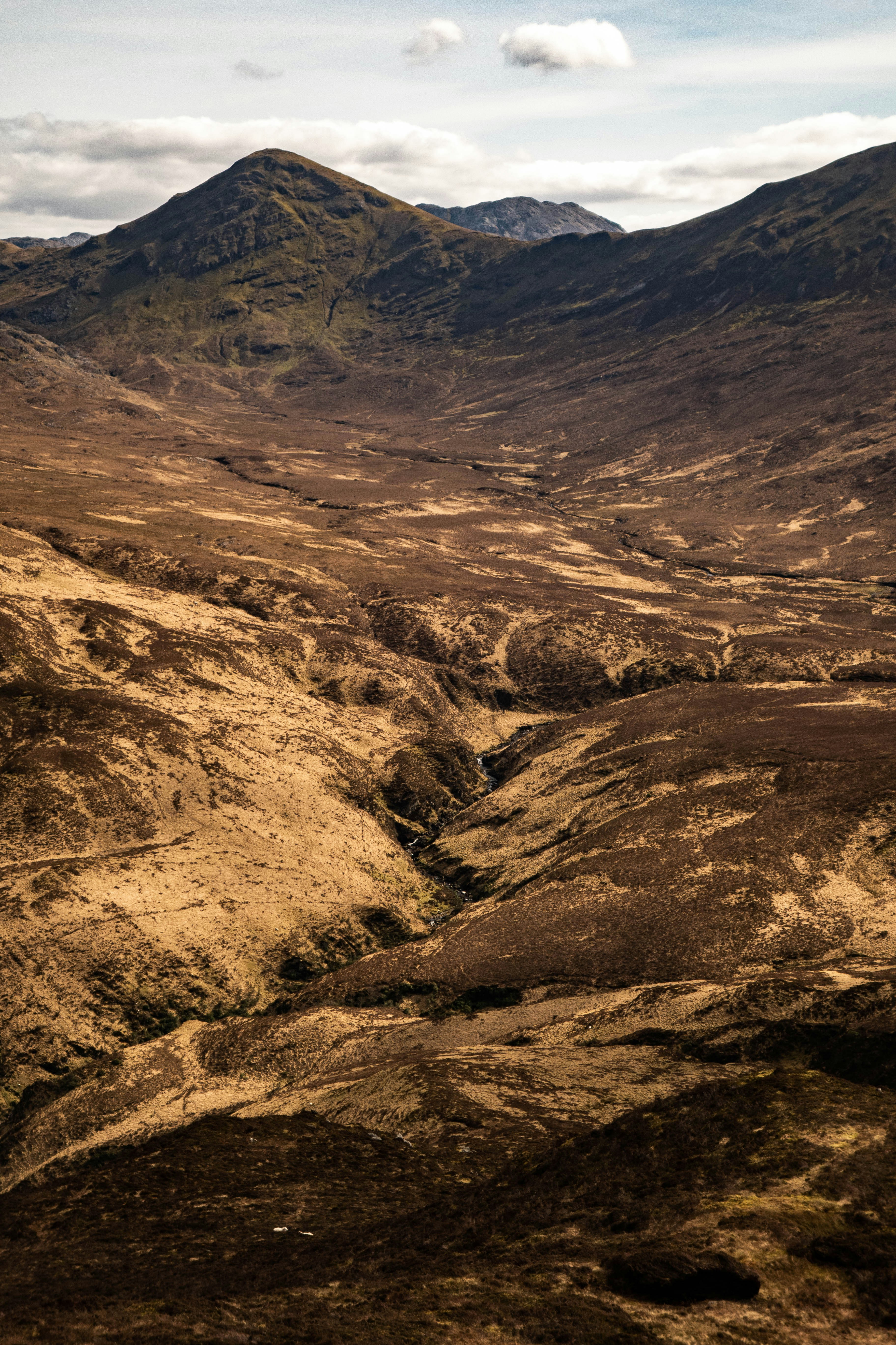 Photo by angyo8onshi