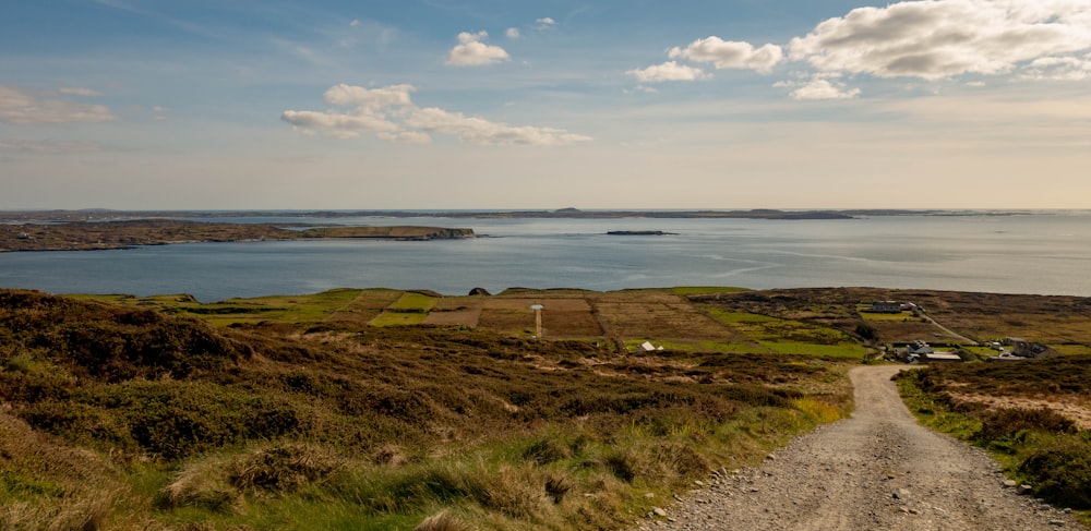 pathway surrounded with grass field near sea