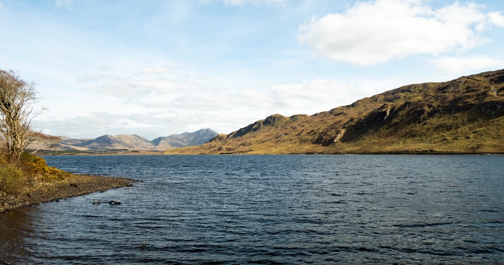 body of water during daytime