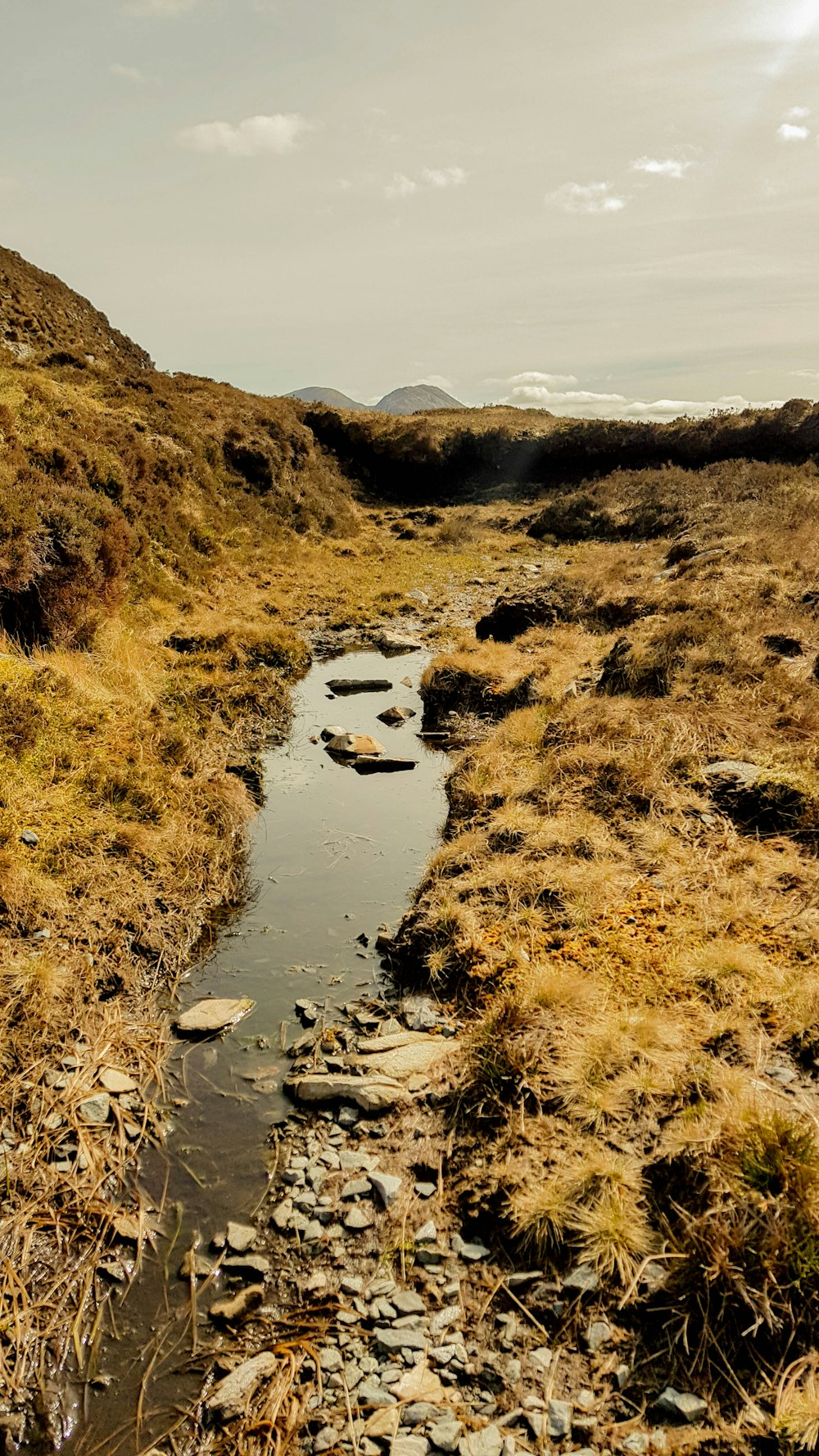 calm water of river in between of grass field