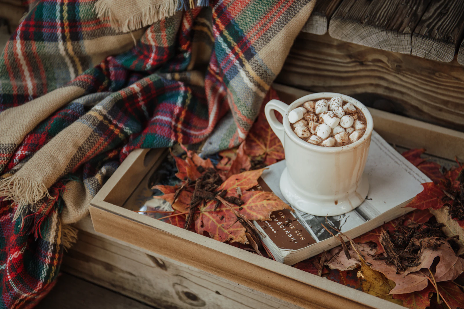 Boisson chaude, livre et plaid : un moment de calme pour apaiser le mental