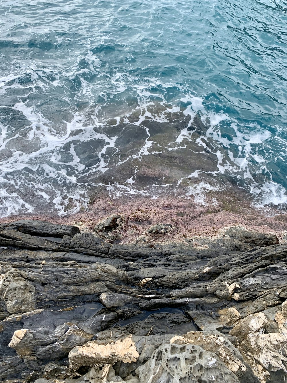 mar y rocas durante el día