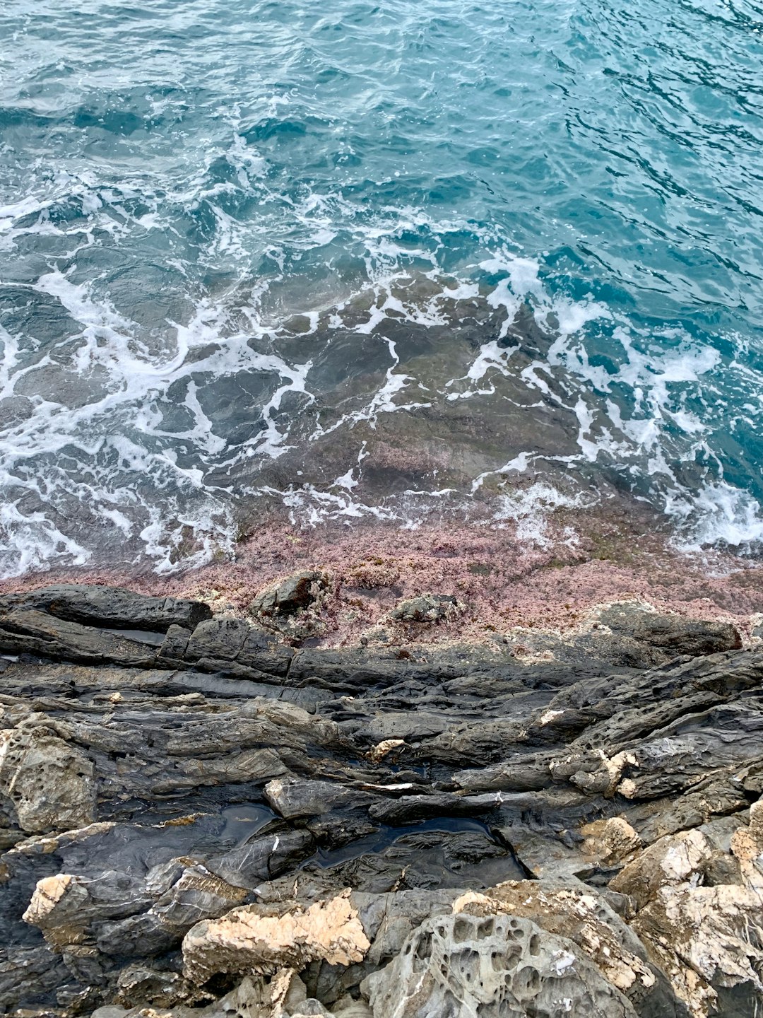 Shore photo spot Cinque Terre National Park Manarola