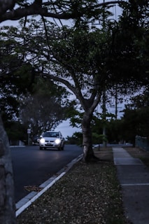 An ohkan car cruising smoothly through a scenic urban neighborhood at dusk