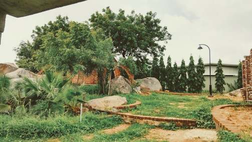 A lush garden setting featuring a variety of green plants, trees, and shrubs. Large boulders are scattered around, and a red brick pathway curves through the scene. A metal lamppost stands on the right, and rows of tall shrubs line the background alongside a metal structure.