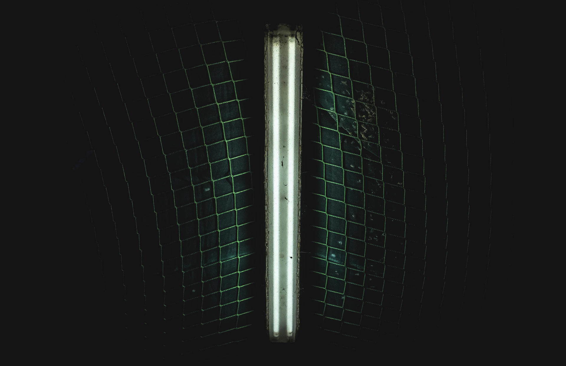 two fluorescent lights