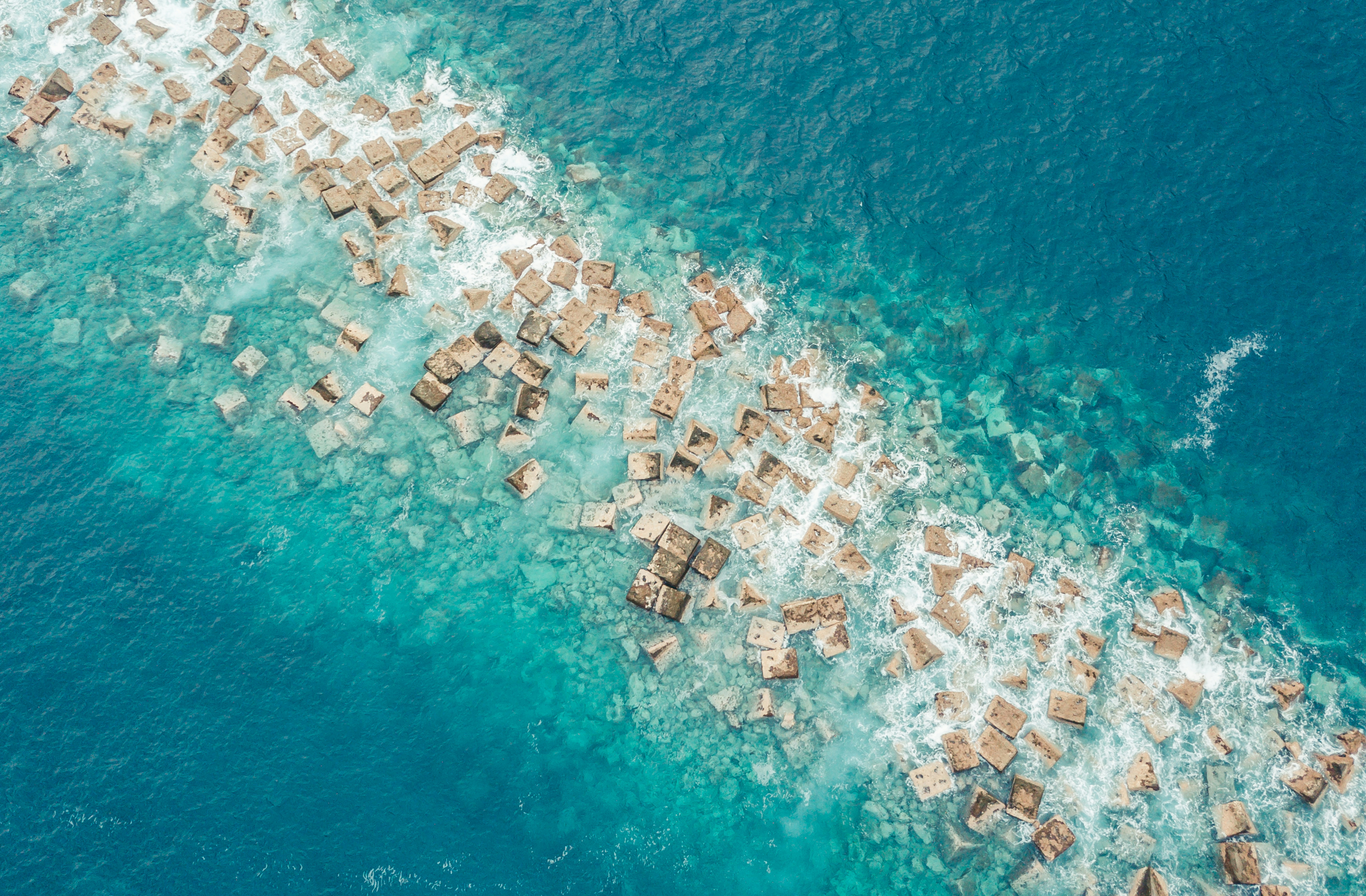 Photo by faustogarmen