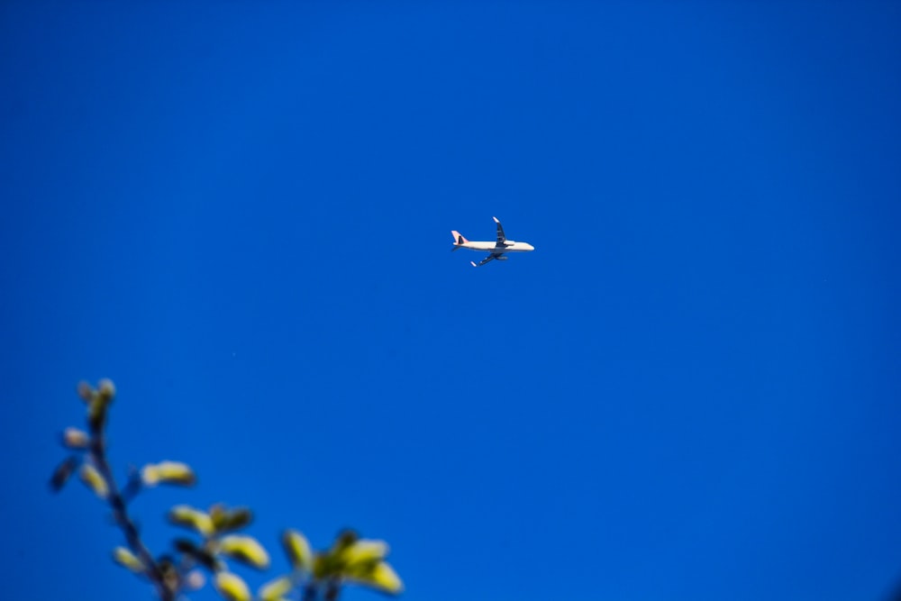 selective focus photo of white airliner
