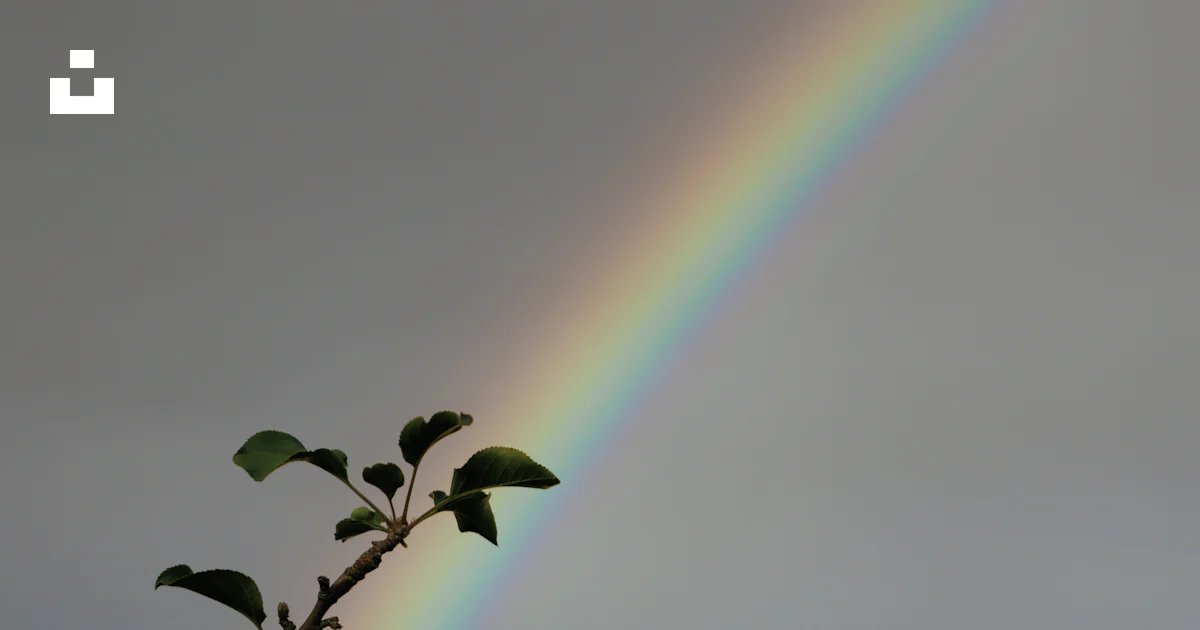Regenbogen tagsüber Foto – Kostenloses Bild zum Thema Regenbogen auf ...