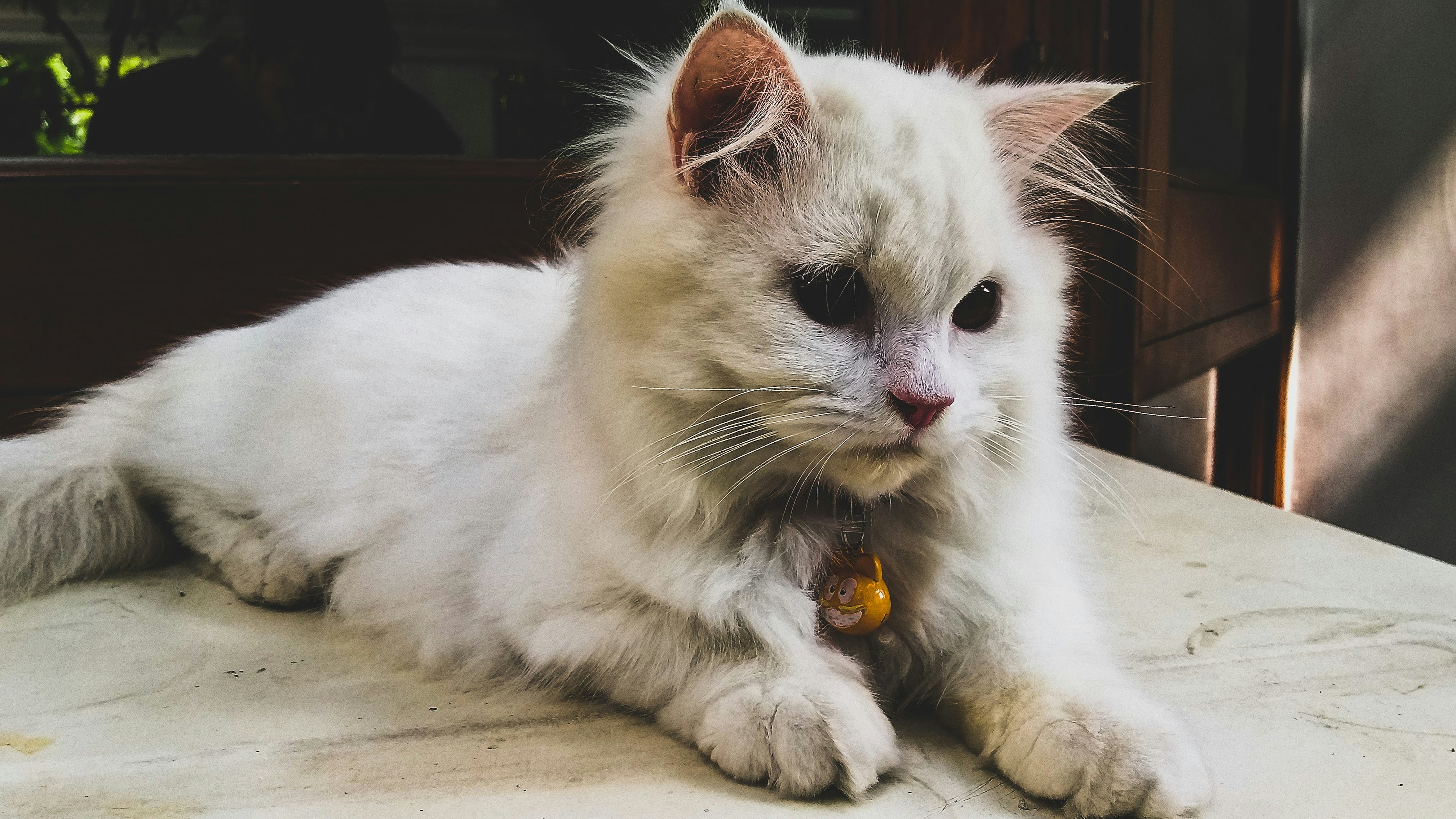 Photo by lincon_street