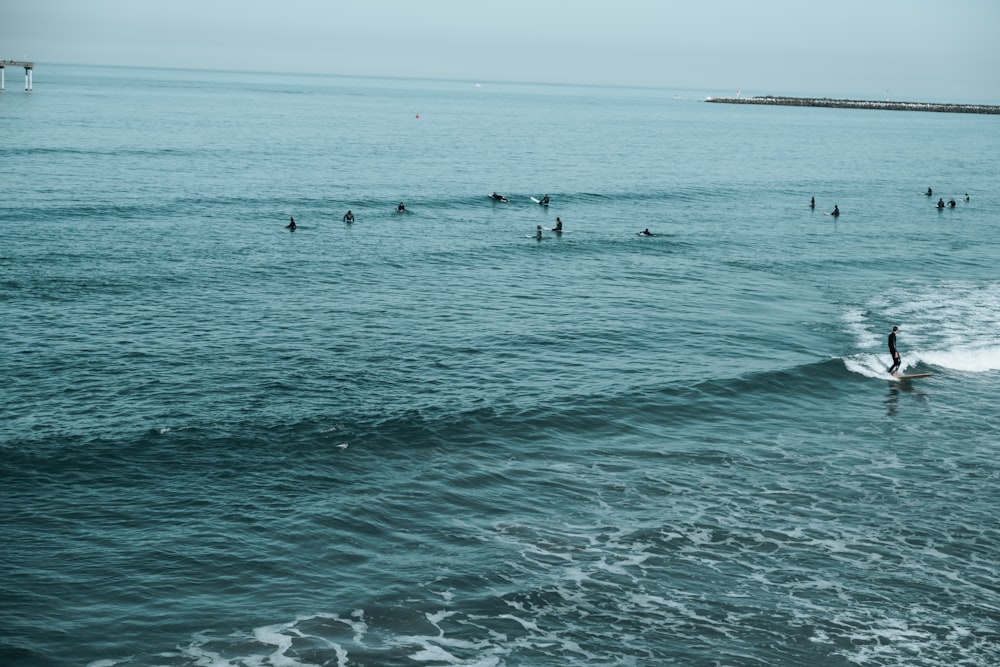 group of people on the beach