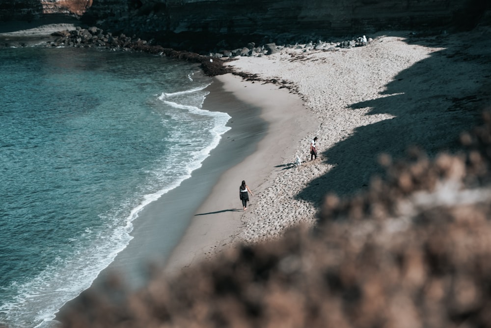 person walking on beach