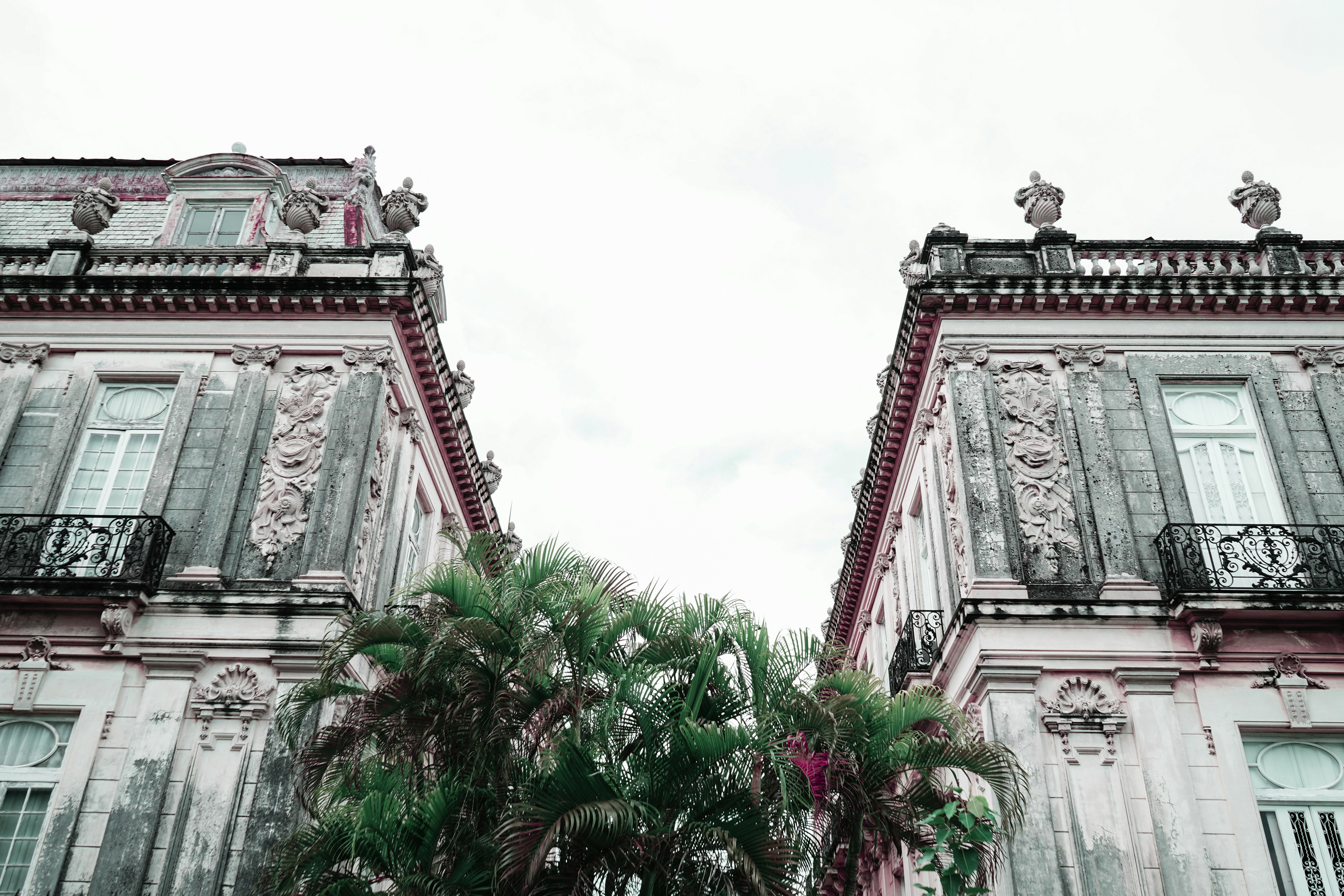 Photo by eduardocanophotoco