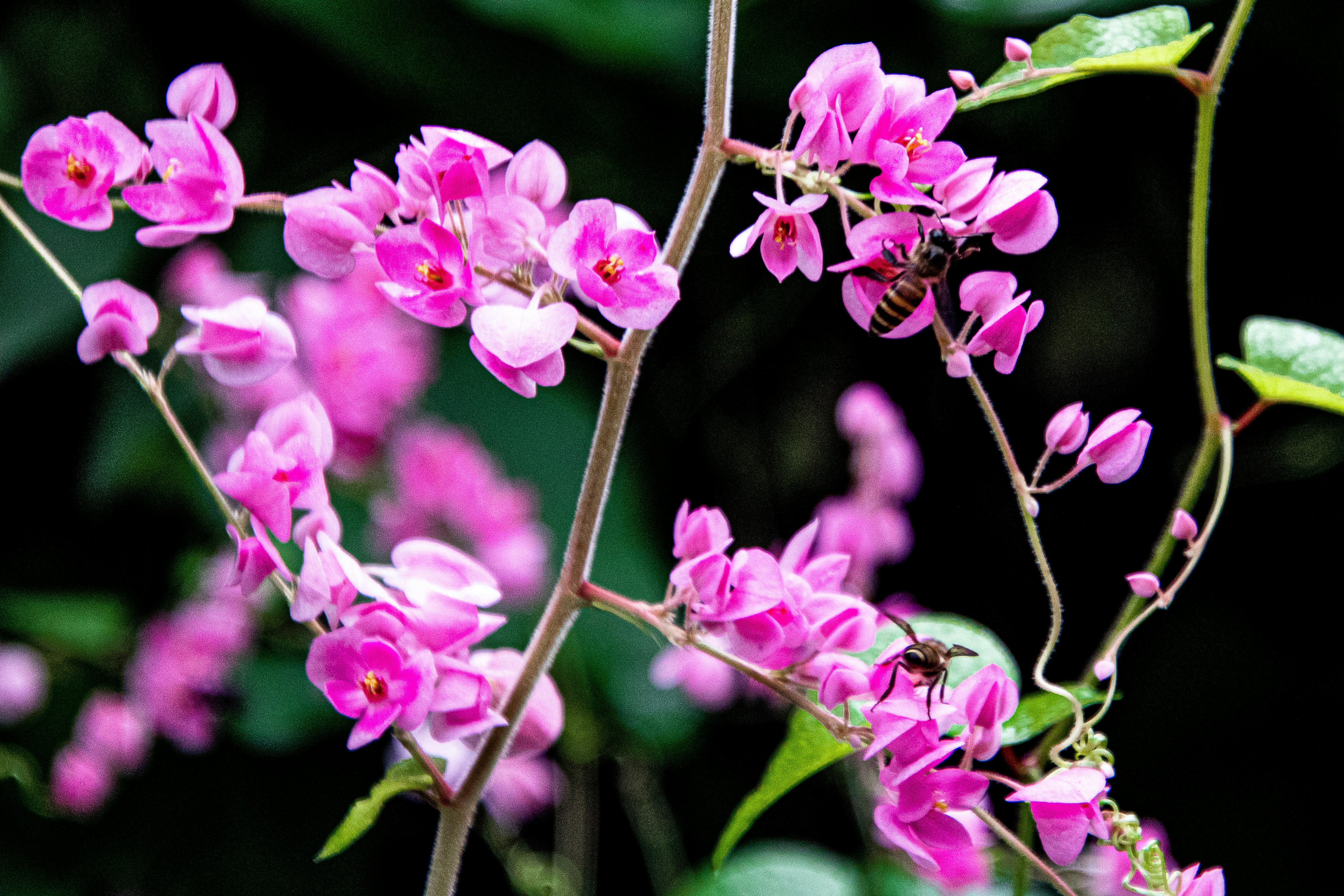 Photo by dc_snapshots