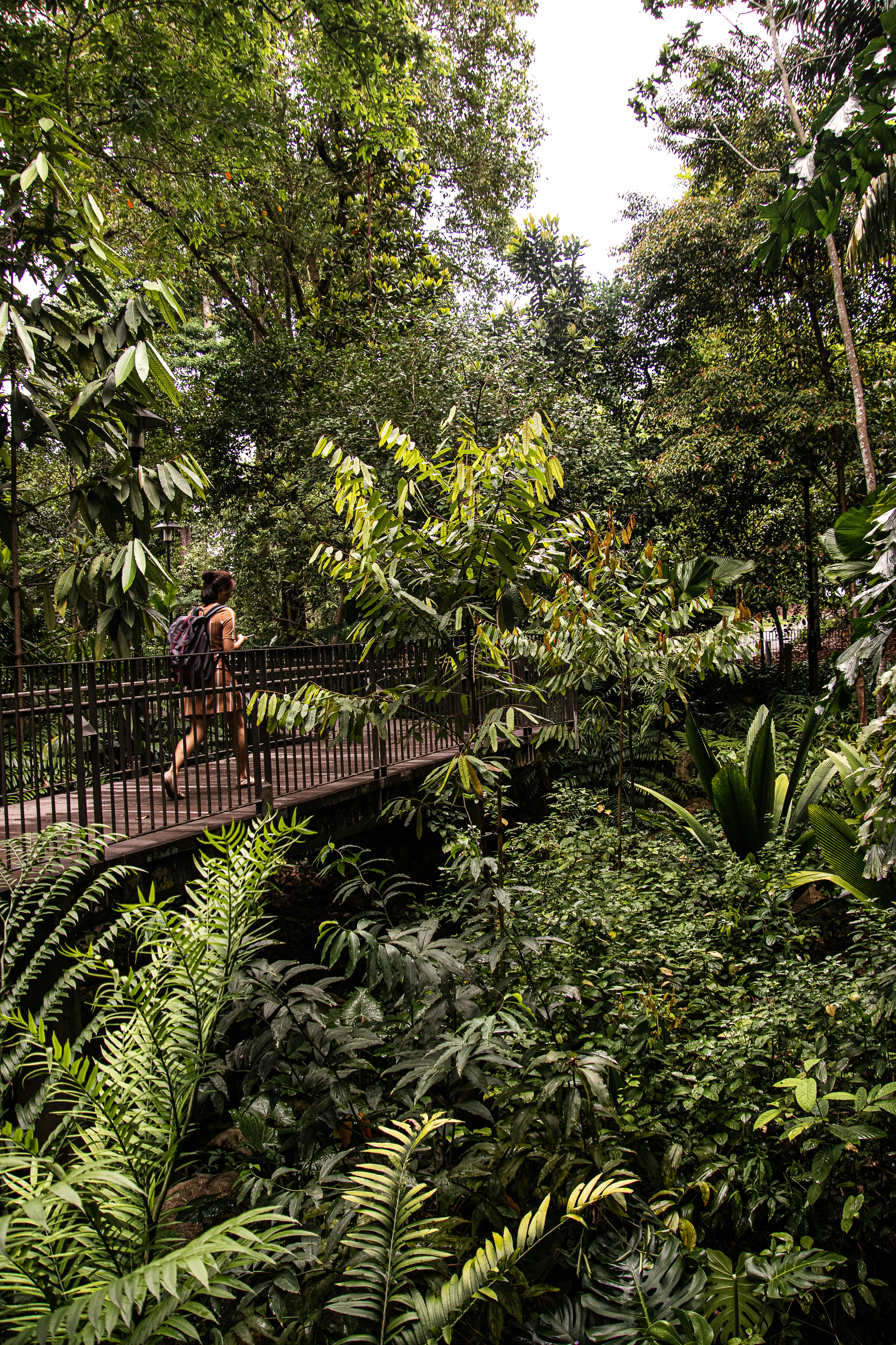 Photo by dc_snapshots