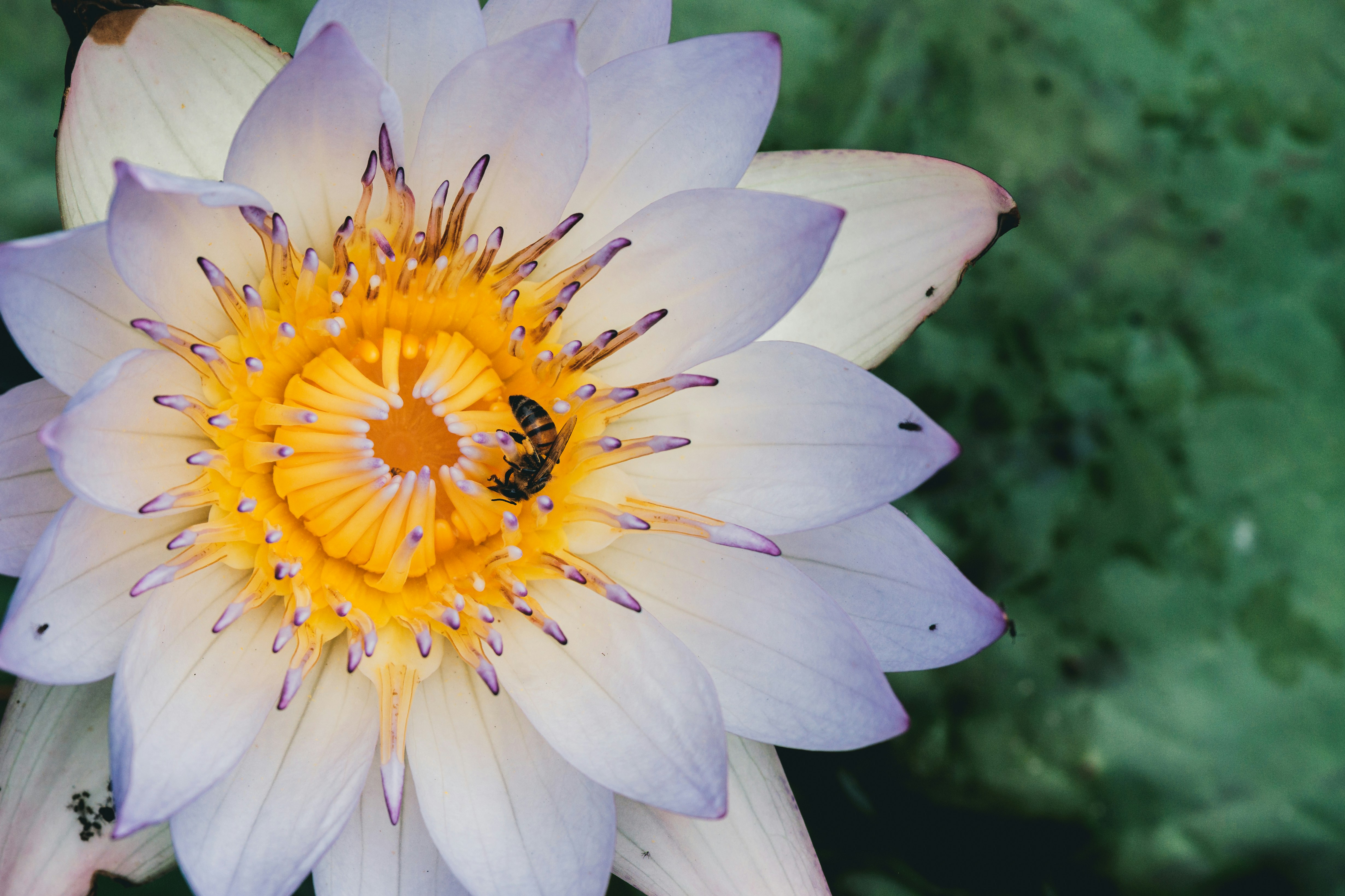 Photo by jacksharp_photography