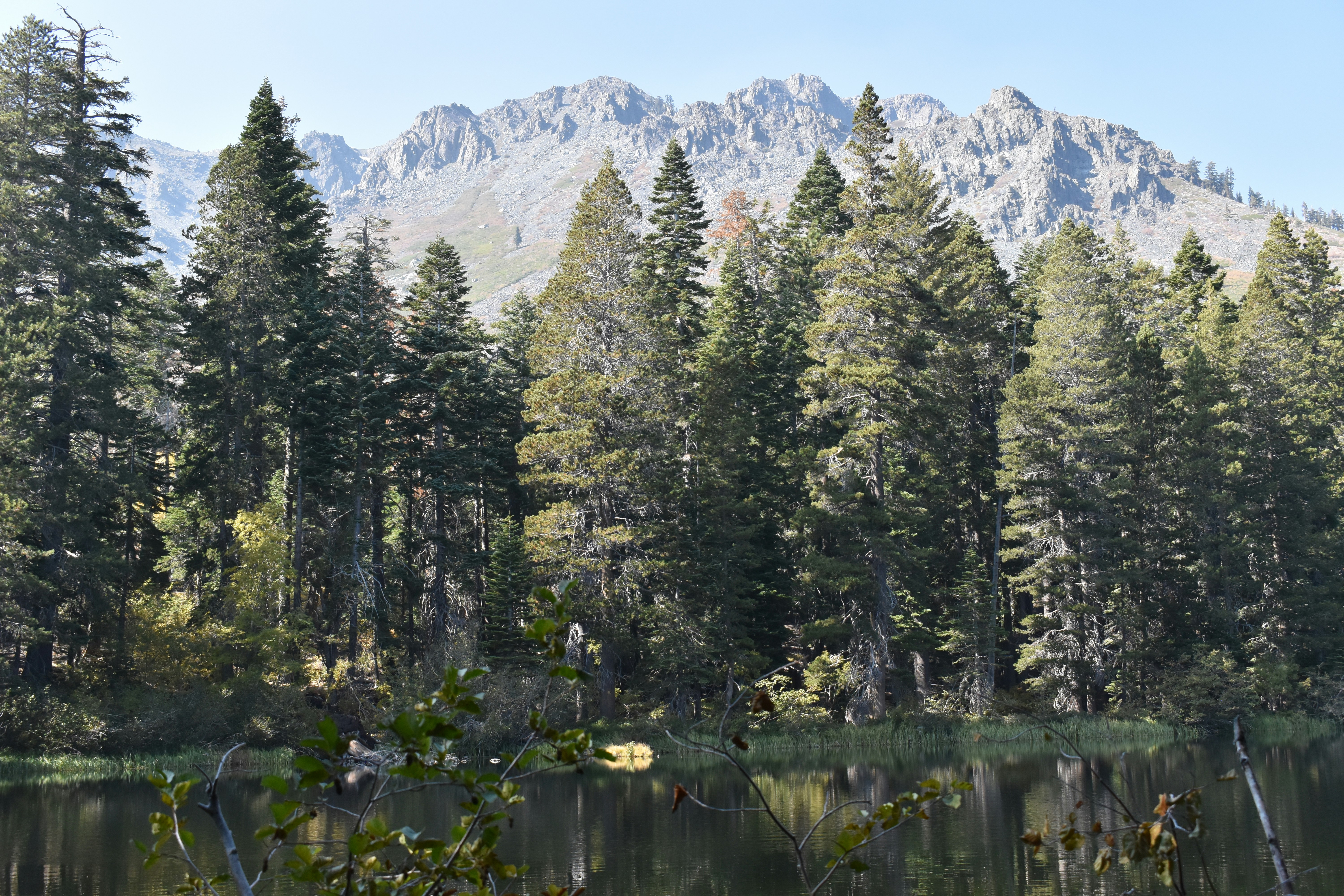 Photo by constantins123