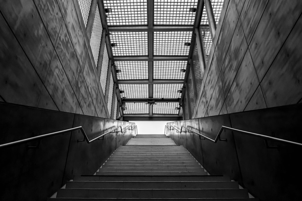 grayscale photography of empty staircase