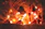 Close-up of intricate candle installations with soft glowing lights illuminating the night.