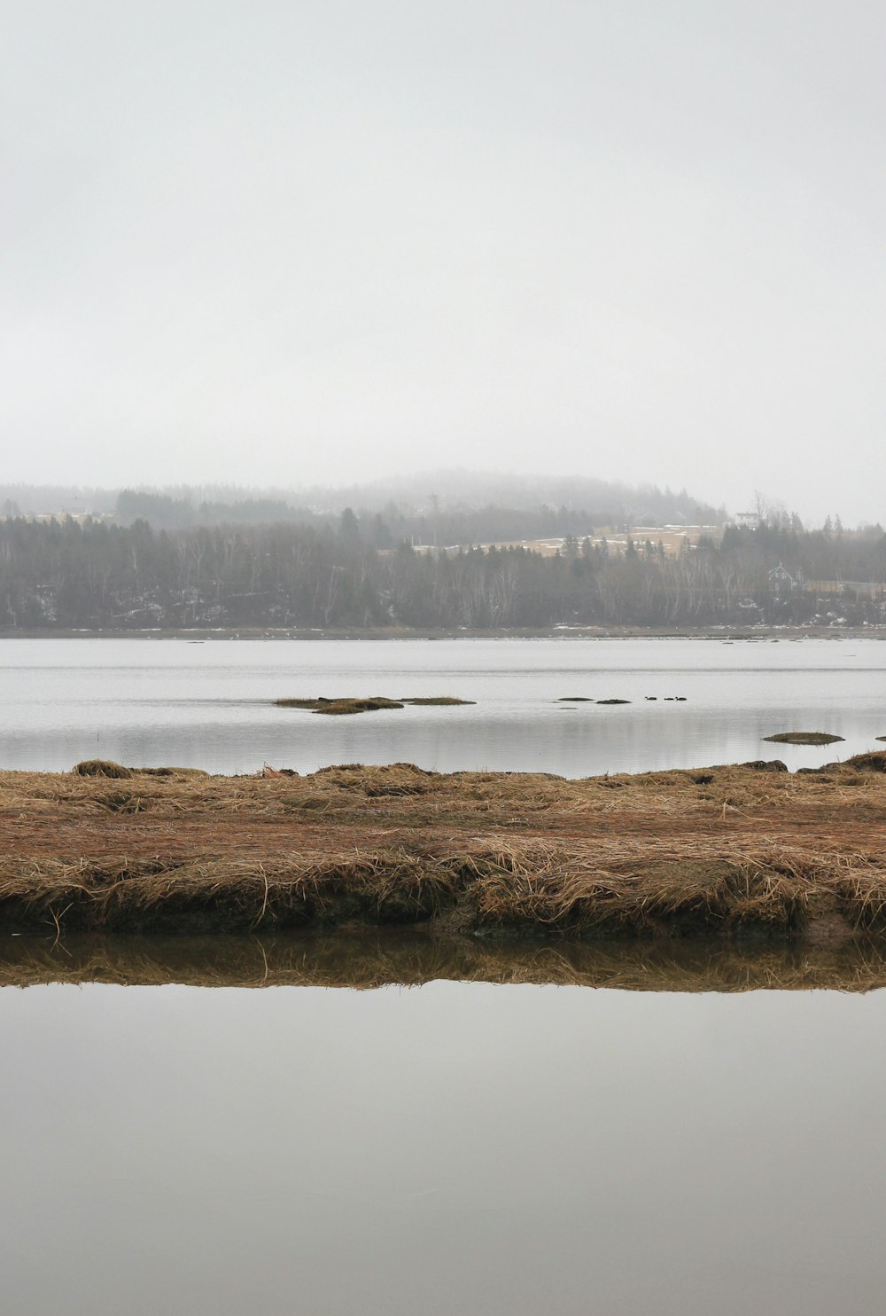 calm body of river