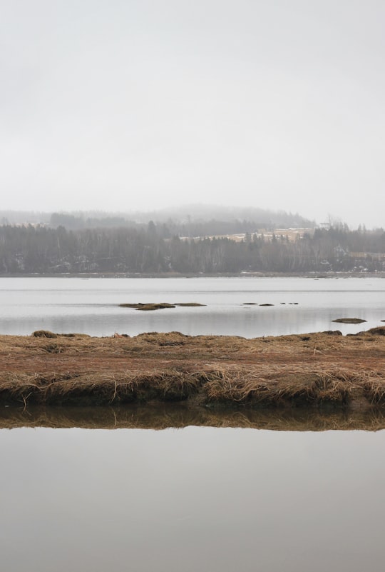 calm body of river in Nova Scotia Canada