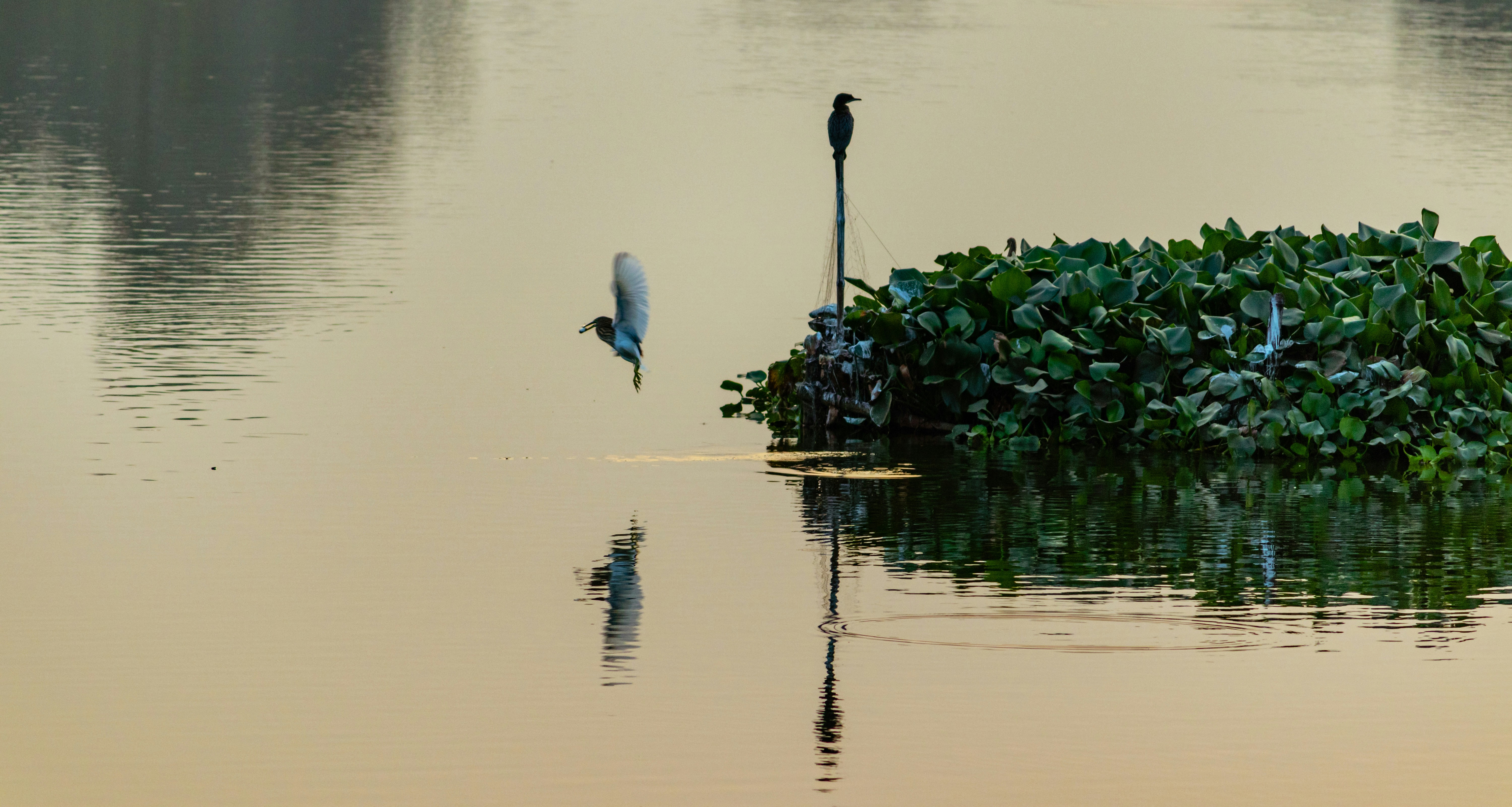 Photo by noire_photos