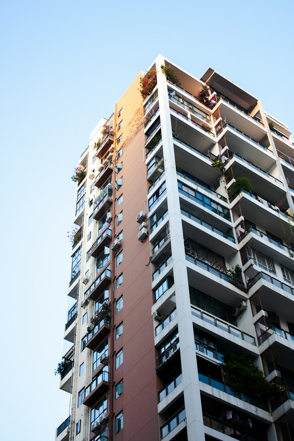 low angle photo of building