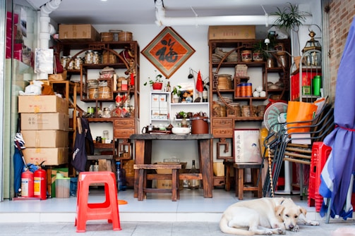 A small shop with a rustic interior, featuring wooden shelves filled with various containers and items, possibly traditional goods. There are cardboard boxes stacked on the left, a few small plants, and a wooden table with several pots and a teapot. A folded stack of chairs and a red plastic stool are visible, and a yellow Labrador retriever rests on the tiled floor.