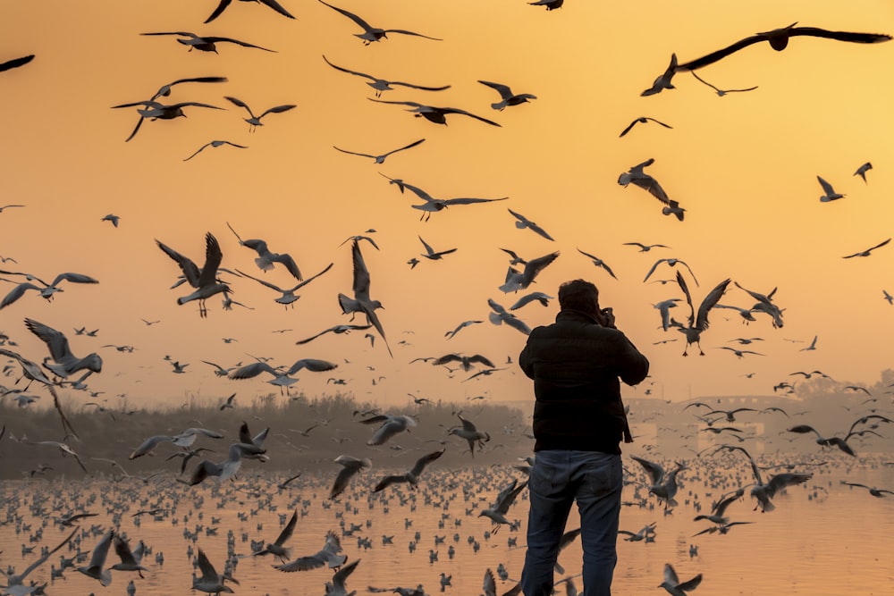 man taking photo of seagulls