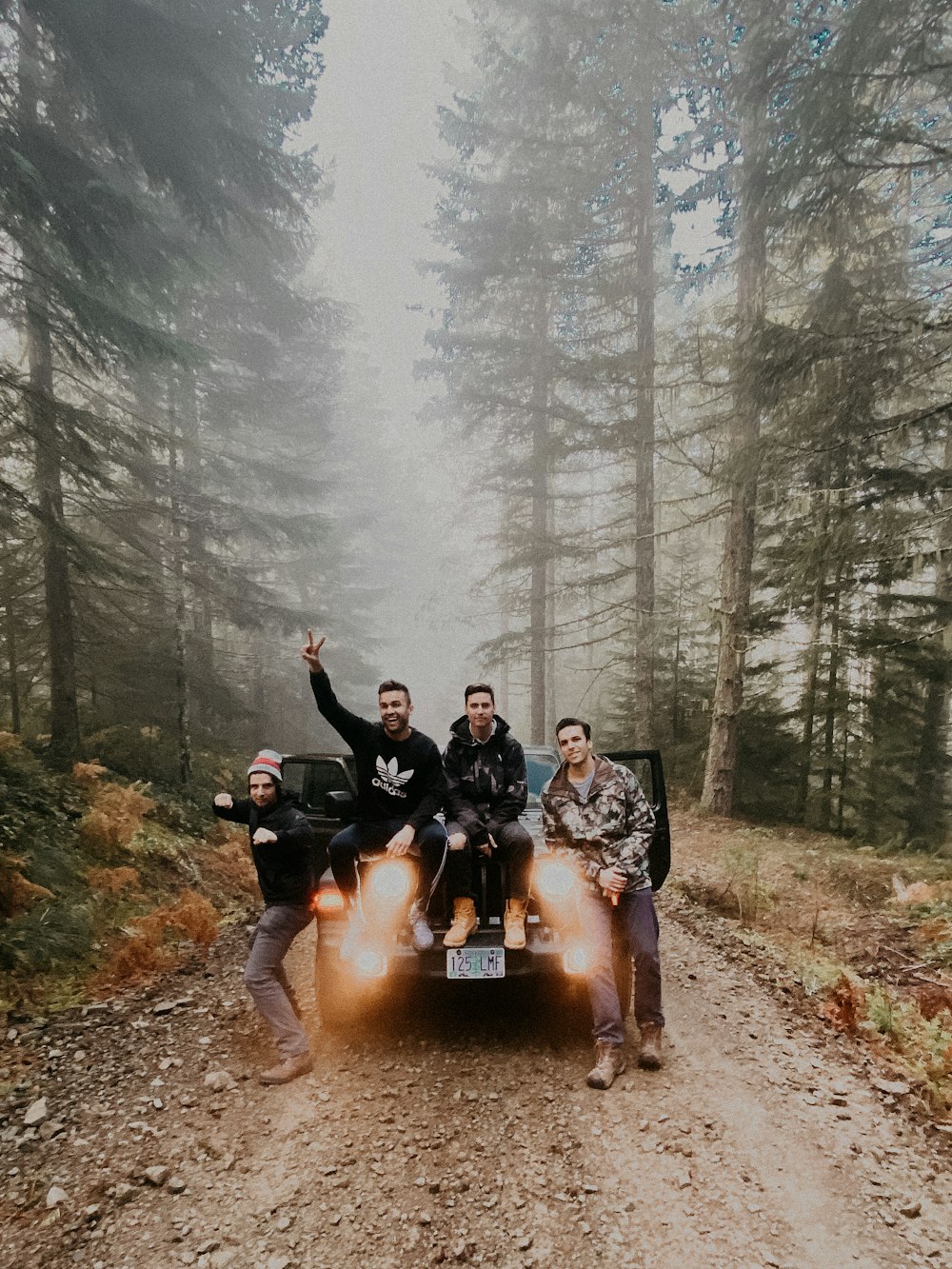 people sitting on car near green trees