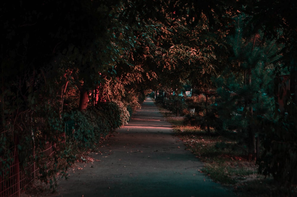 empty pavement