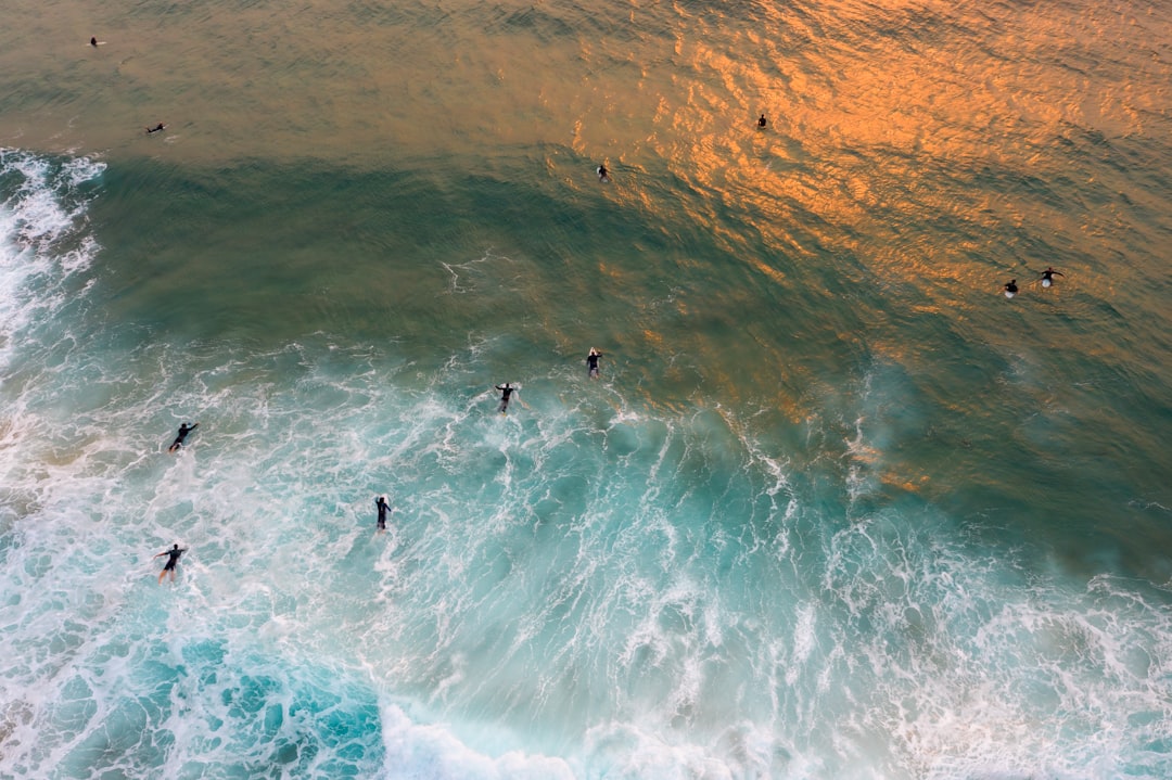 Ocean photo spot Sydney Shelly Beach