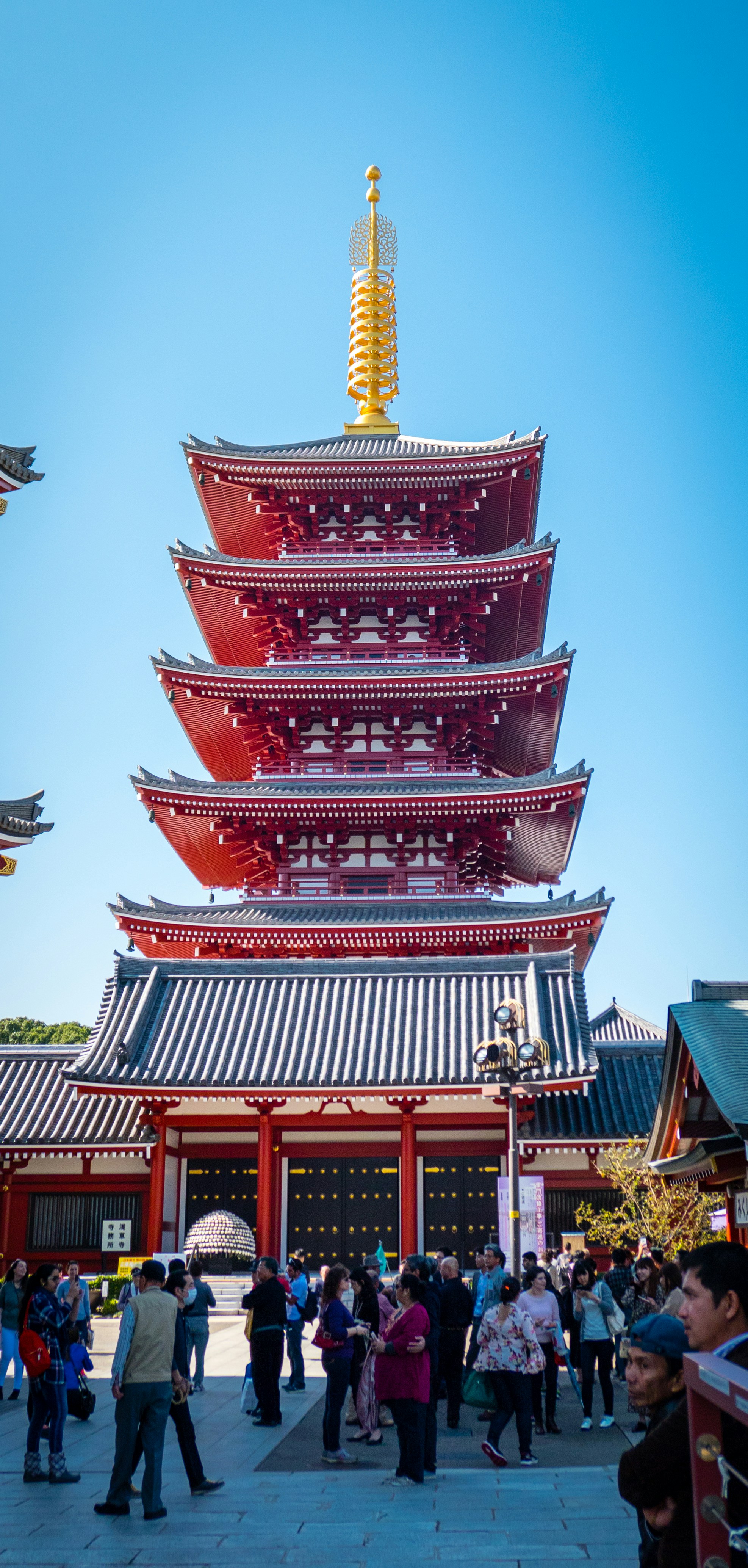 Photo by wildeantics