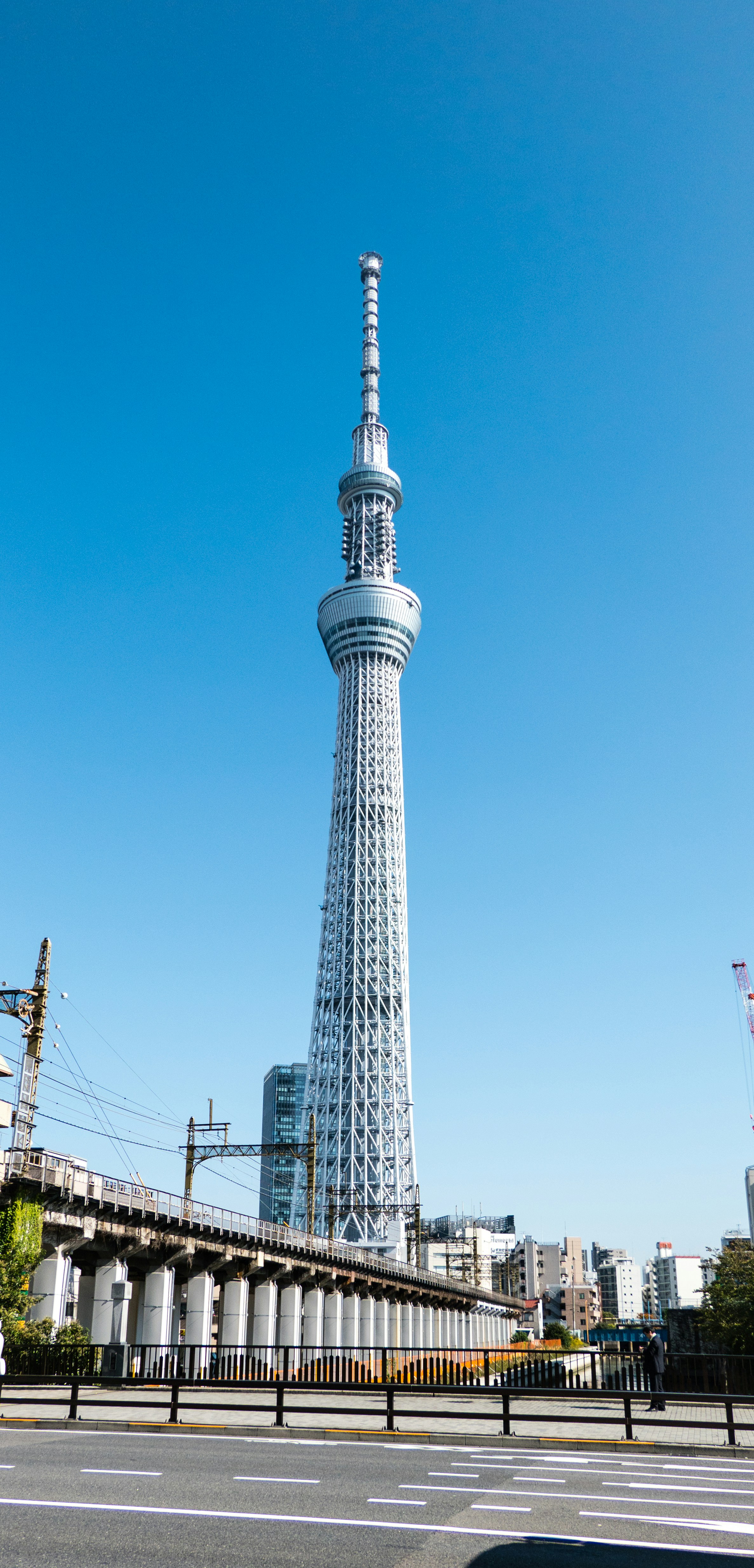 Photo by wildeantics