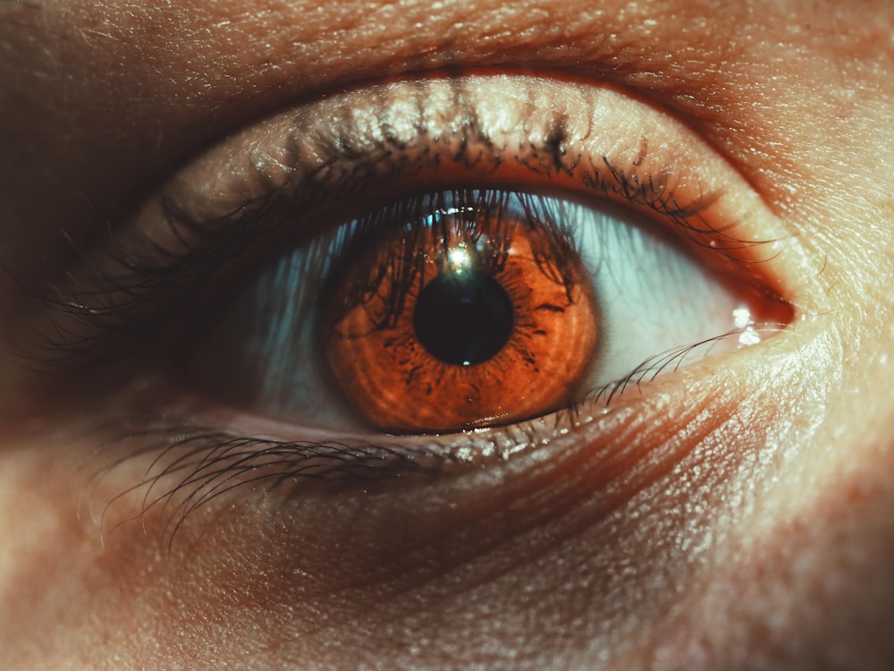 Foto de enfoque superficial del iris marrón de la persona