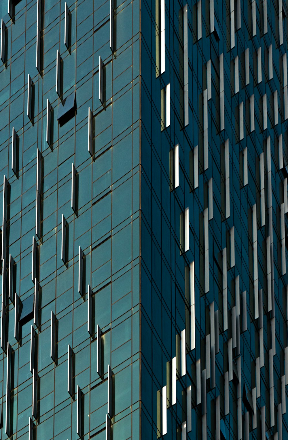 foto a fuoco superficiale dell'edificio blu