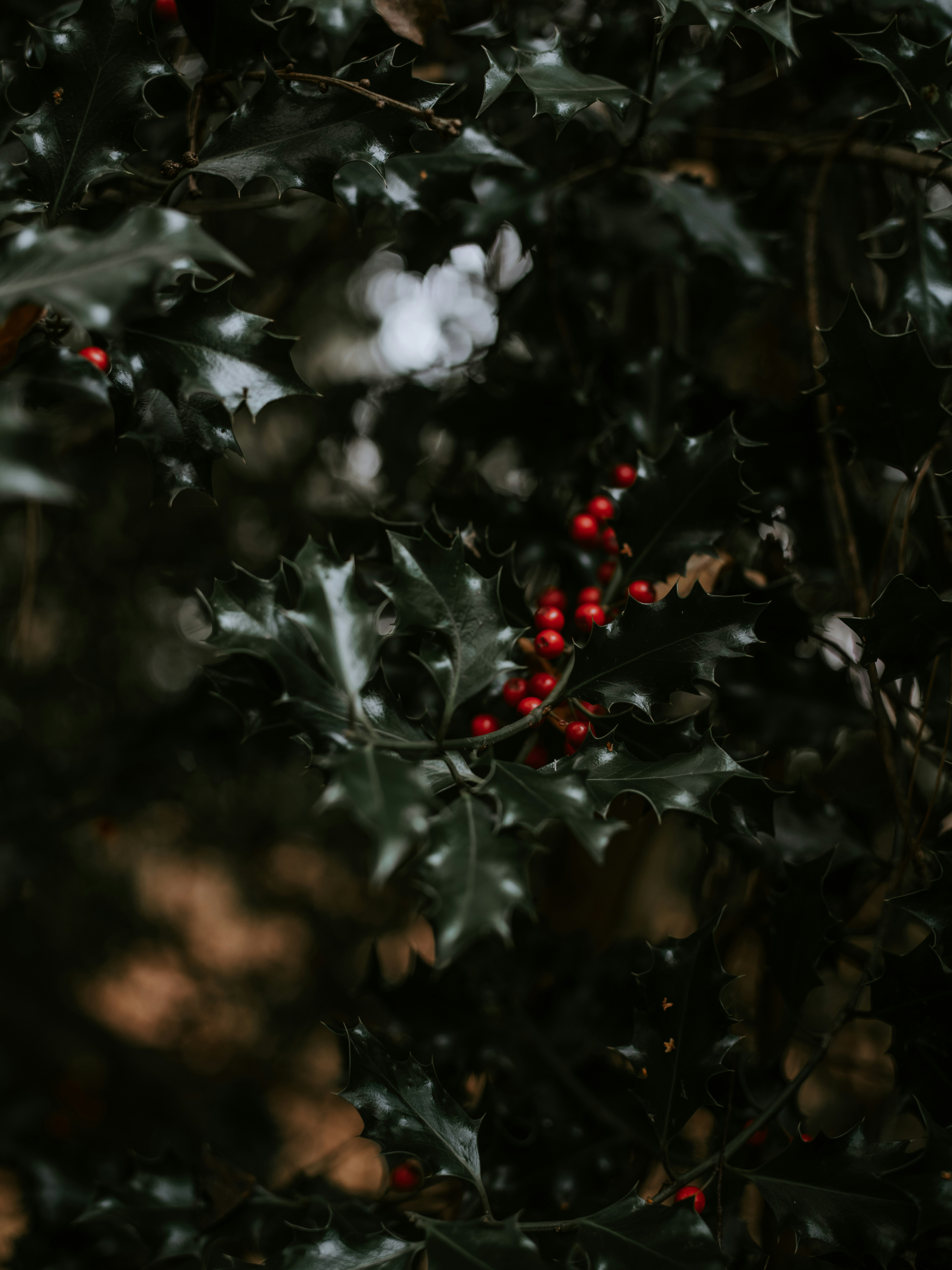Photo by anniespratt