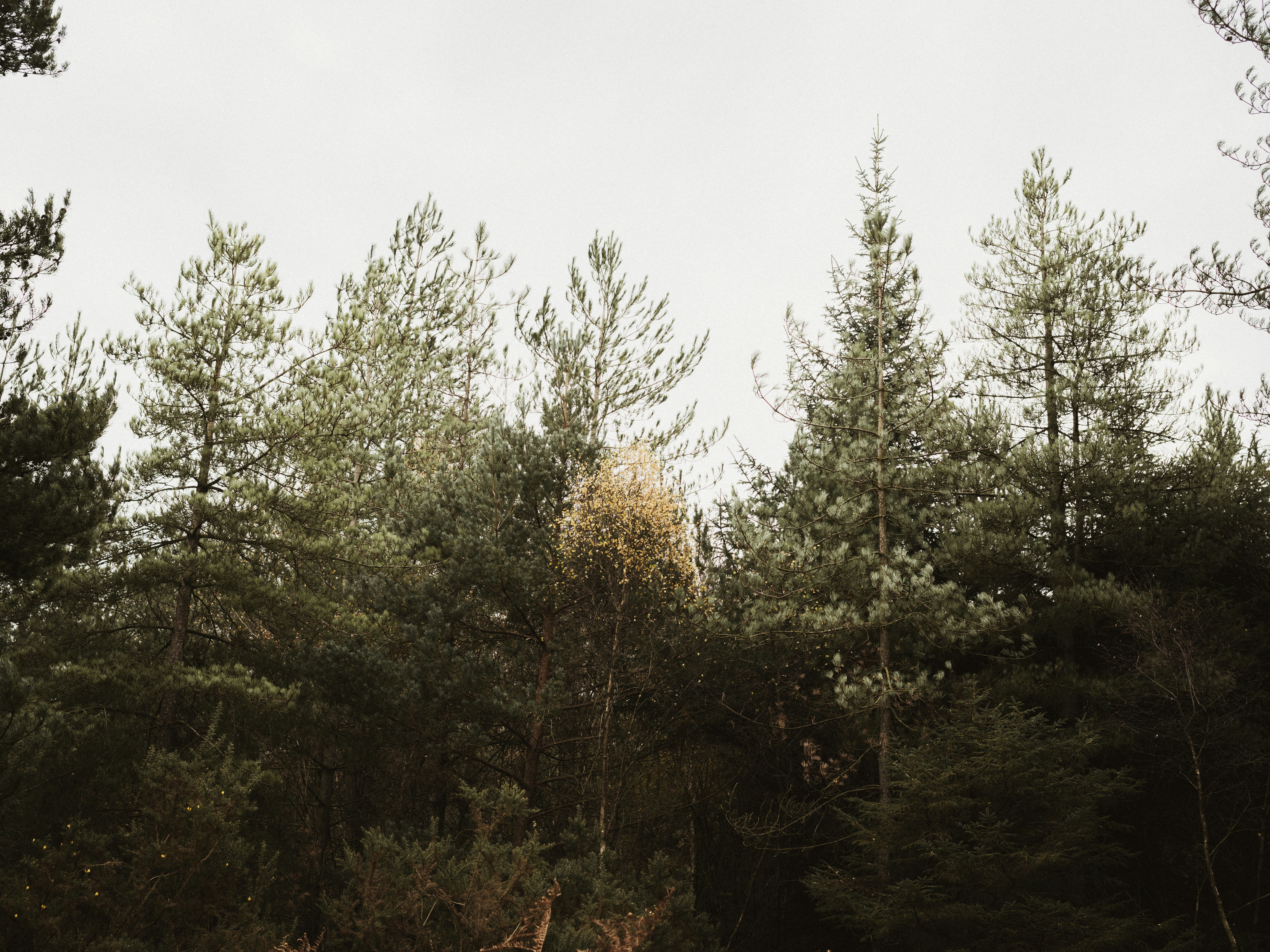 Photo by anniespratt